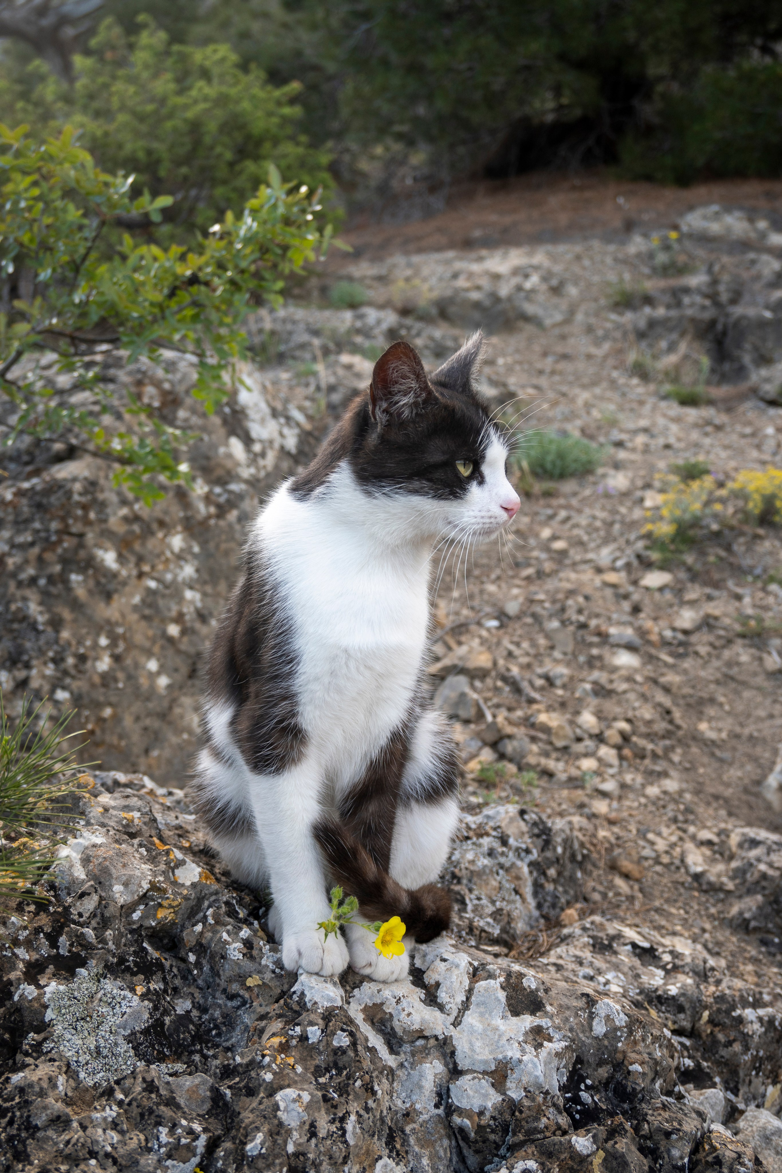 Крым май 2022. Фотограф Роман Адлер