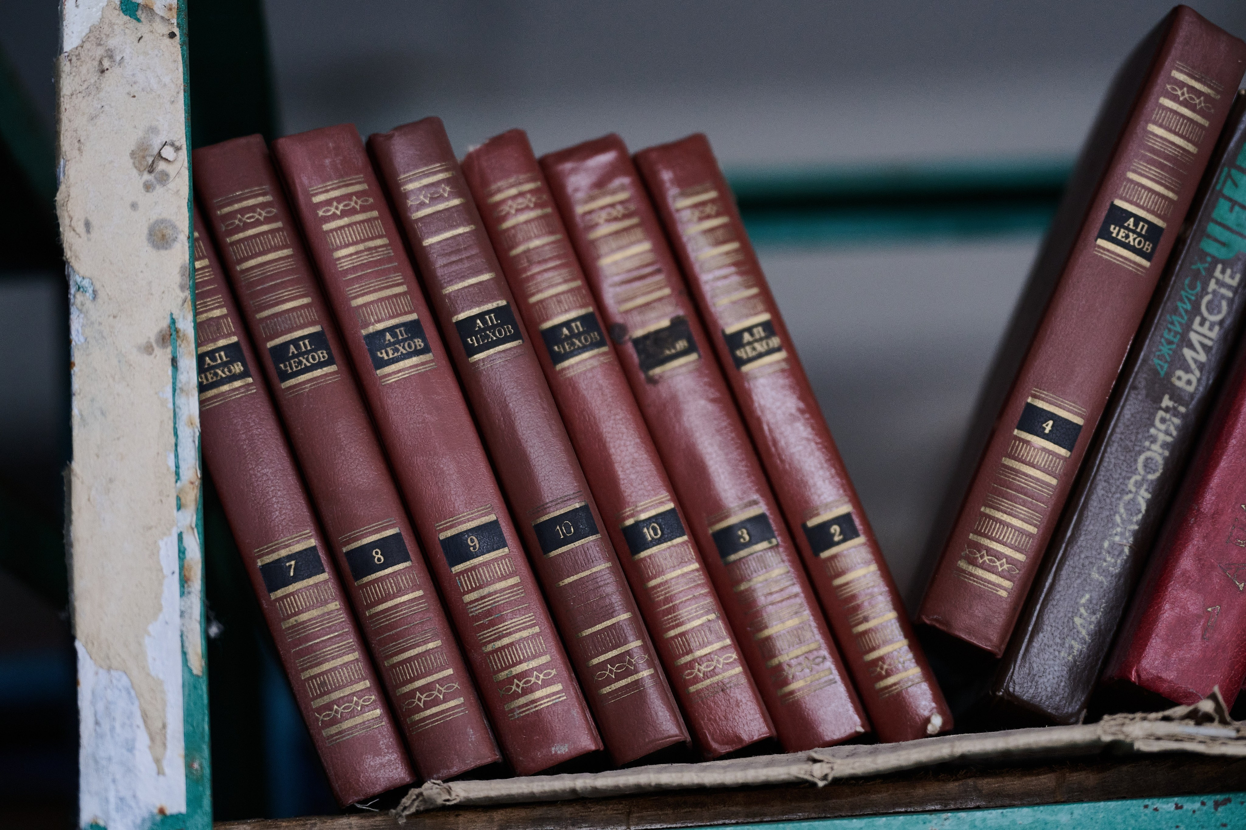 Краснореченское (Луганская область). Ноябрь 2024. Фотограф Роман Адлер