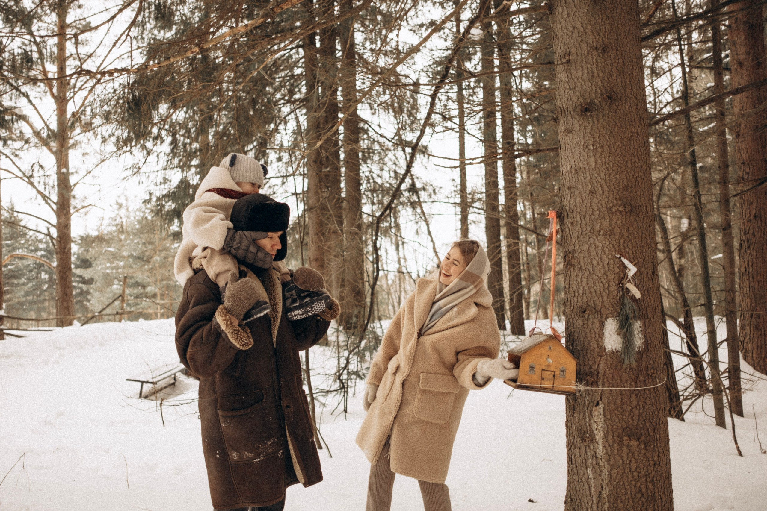 Зимняя история. Главная