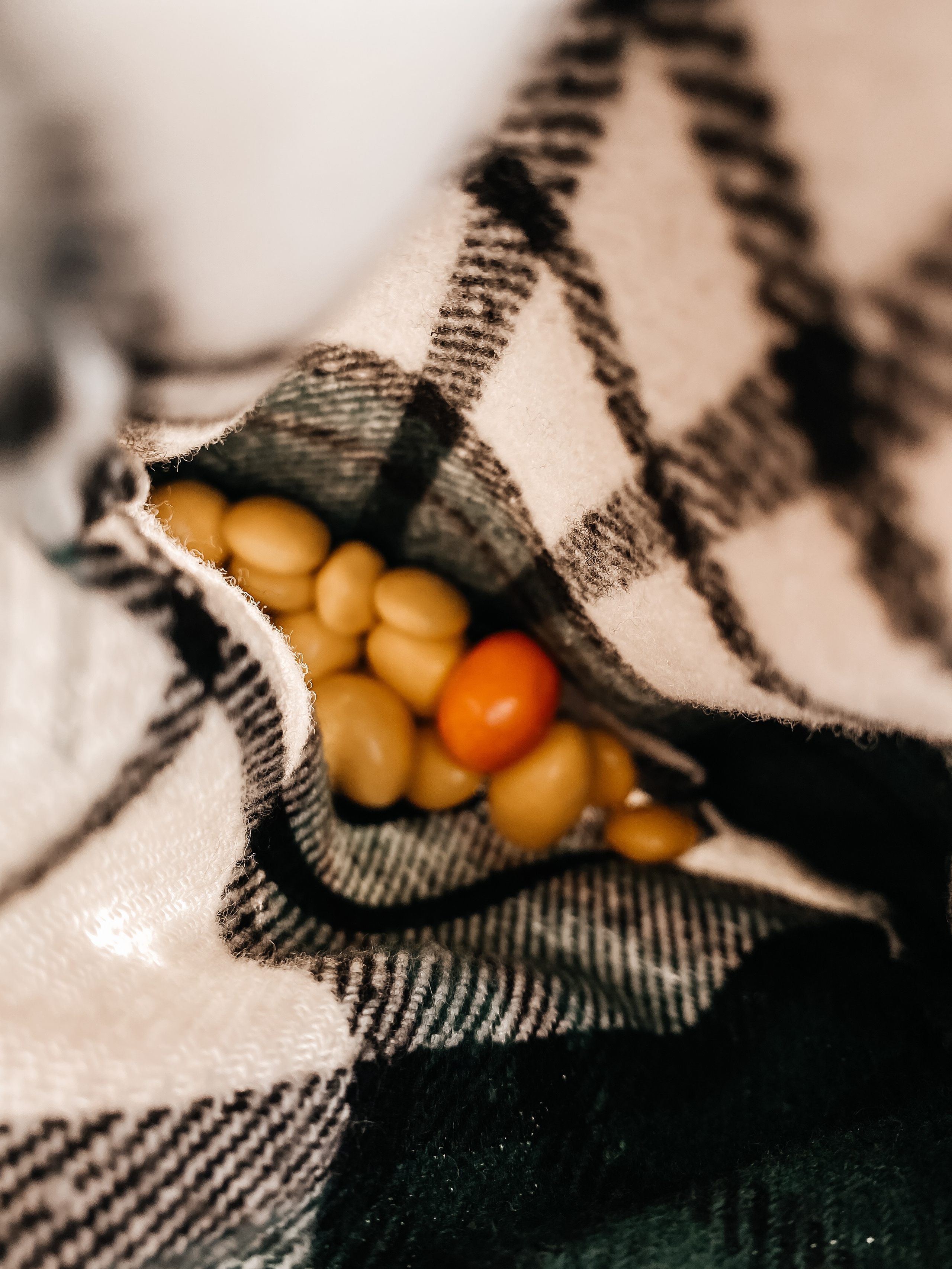 Катерина. Olga Popova — Photographer in Morocco