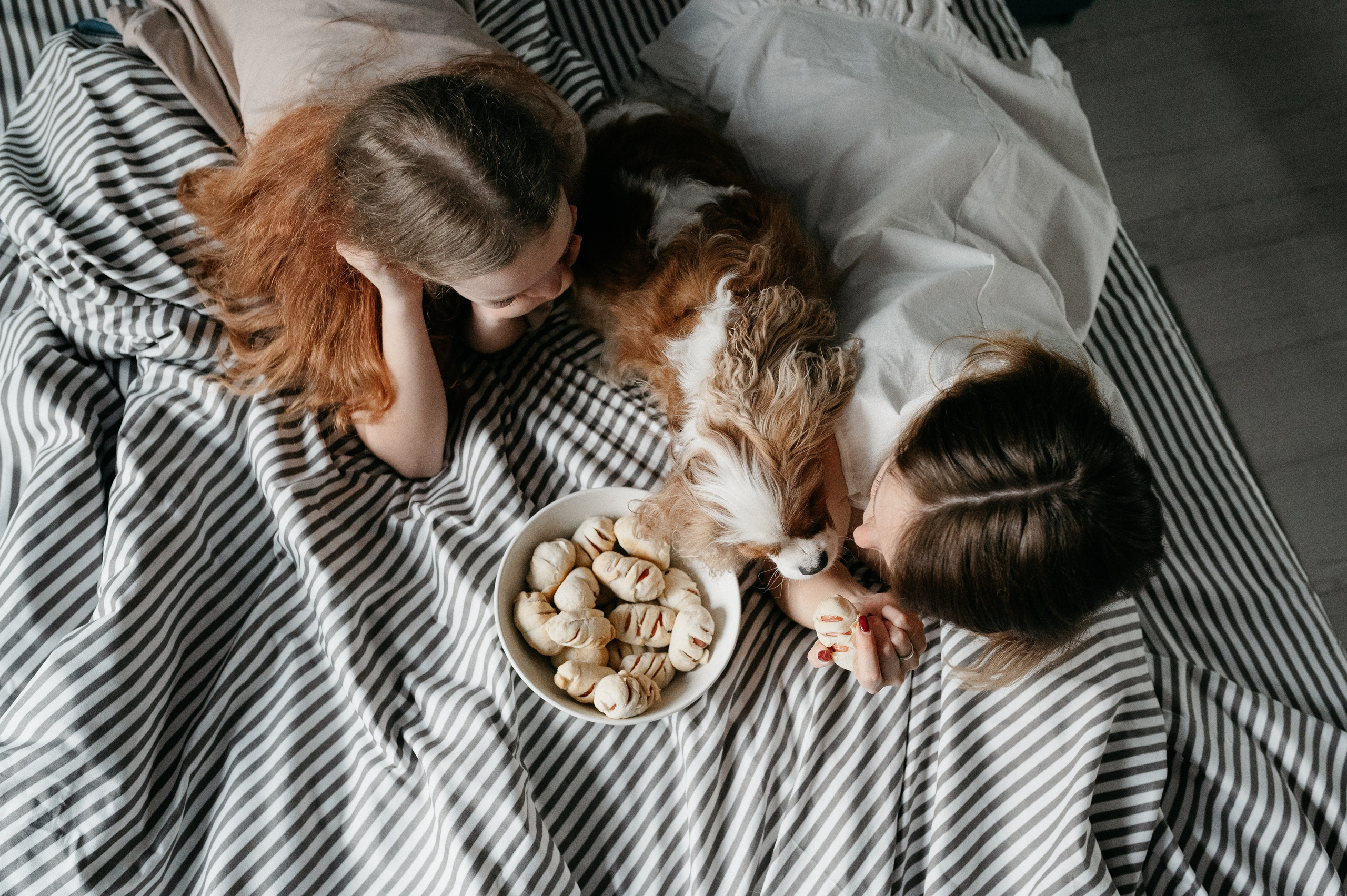 Даша, Диана, Дебби и маленькая крыска. Фотограф анималист в Москве Ольга Агушева