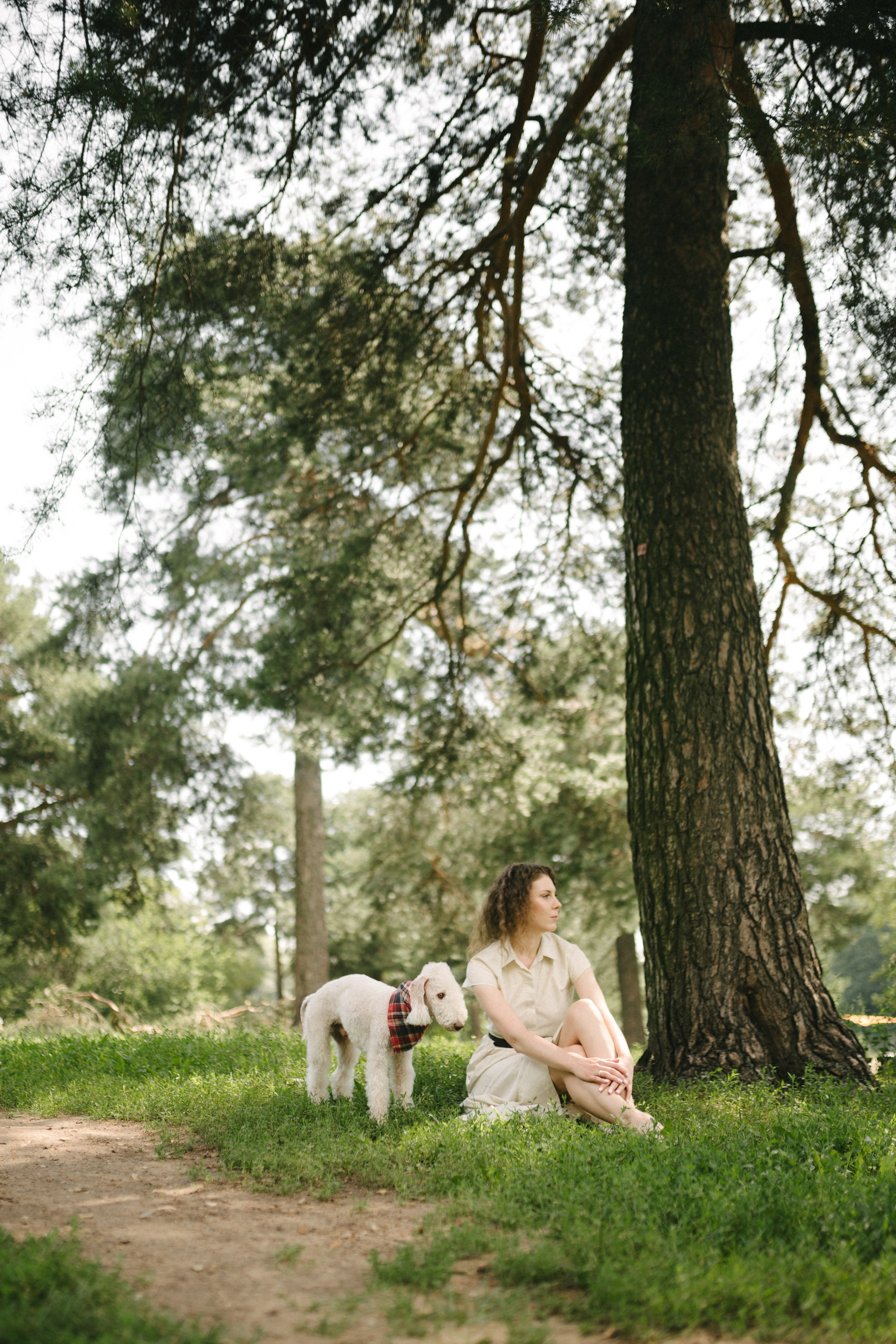 Лиза и Каспер. Фотограф анималист в Москве Ольга Агушева