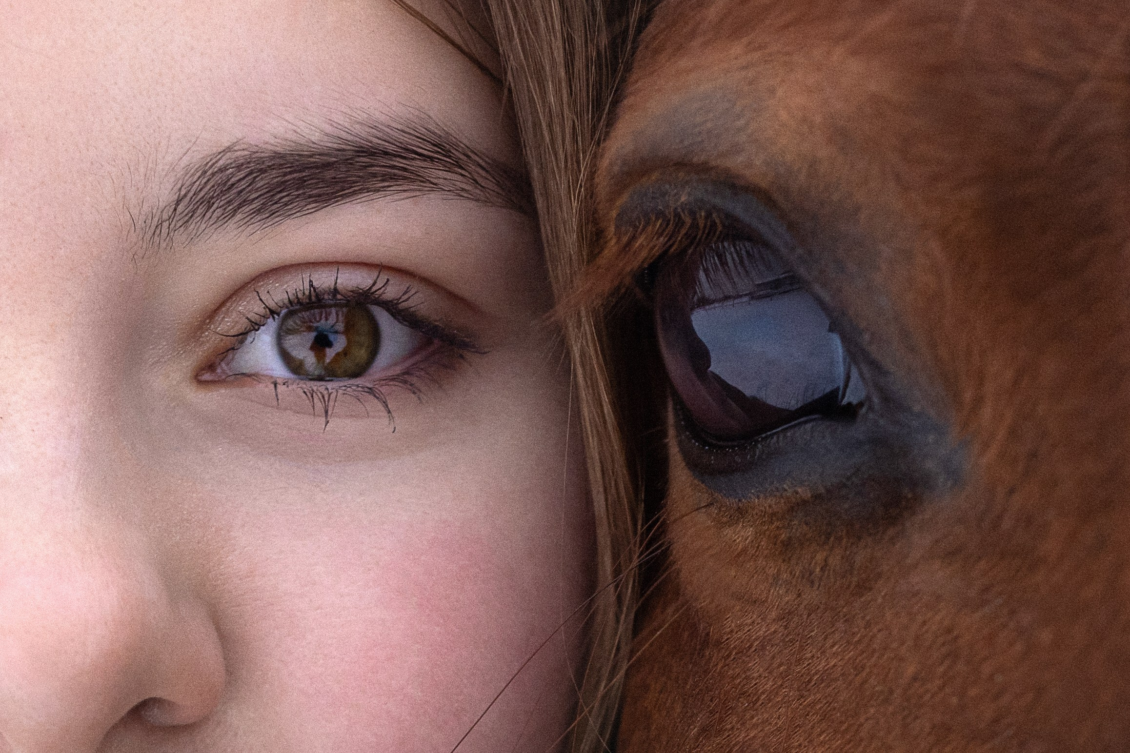 Съёмки с лошадьми. ESHE_PHOTO Фотограф в Москве и Московской области