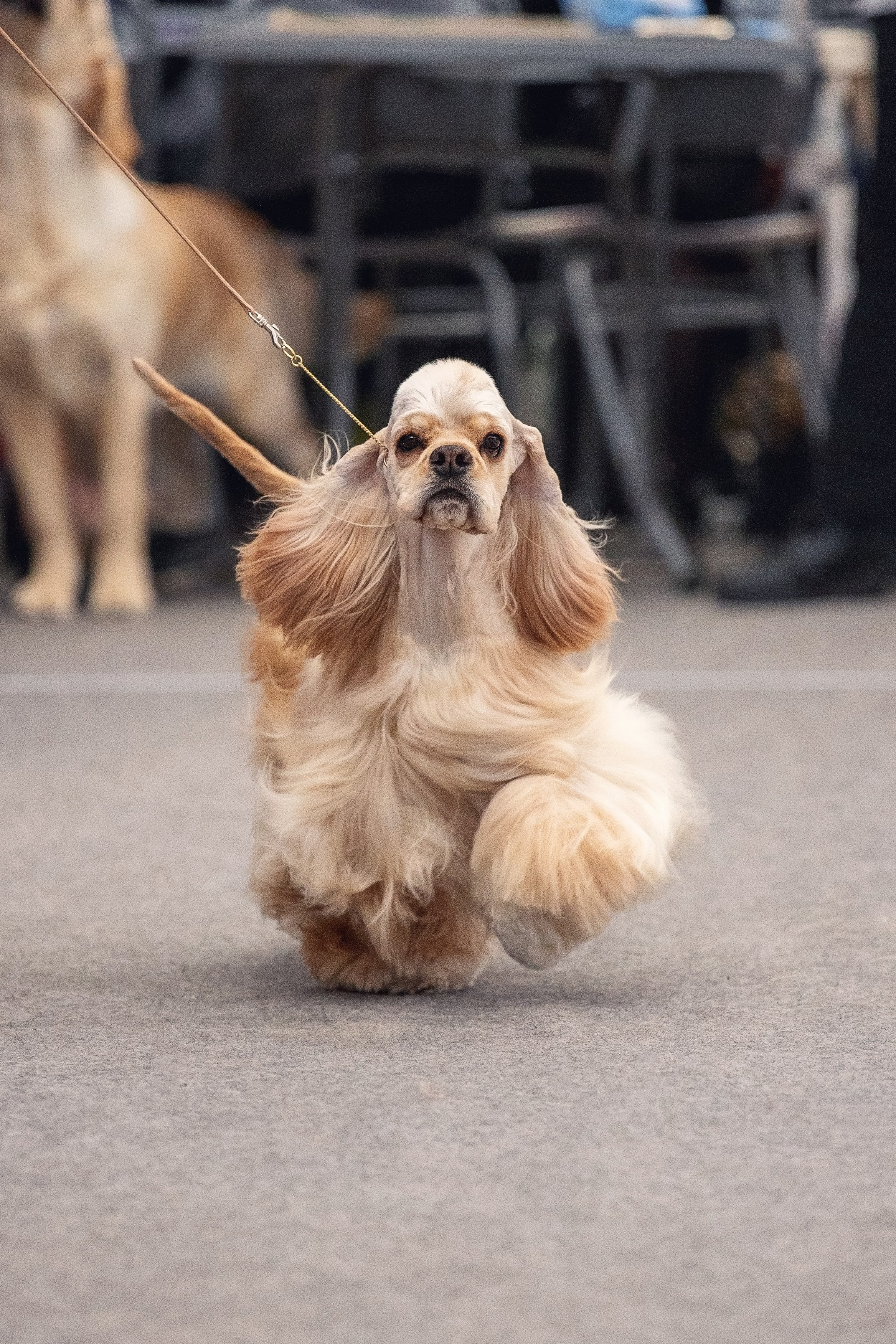 20.01. 2024 Тюмень. YULA KOLESOVA | Фотограф — Анималист | Художник | Тюмень