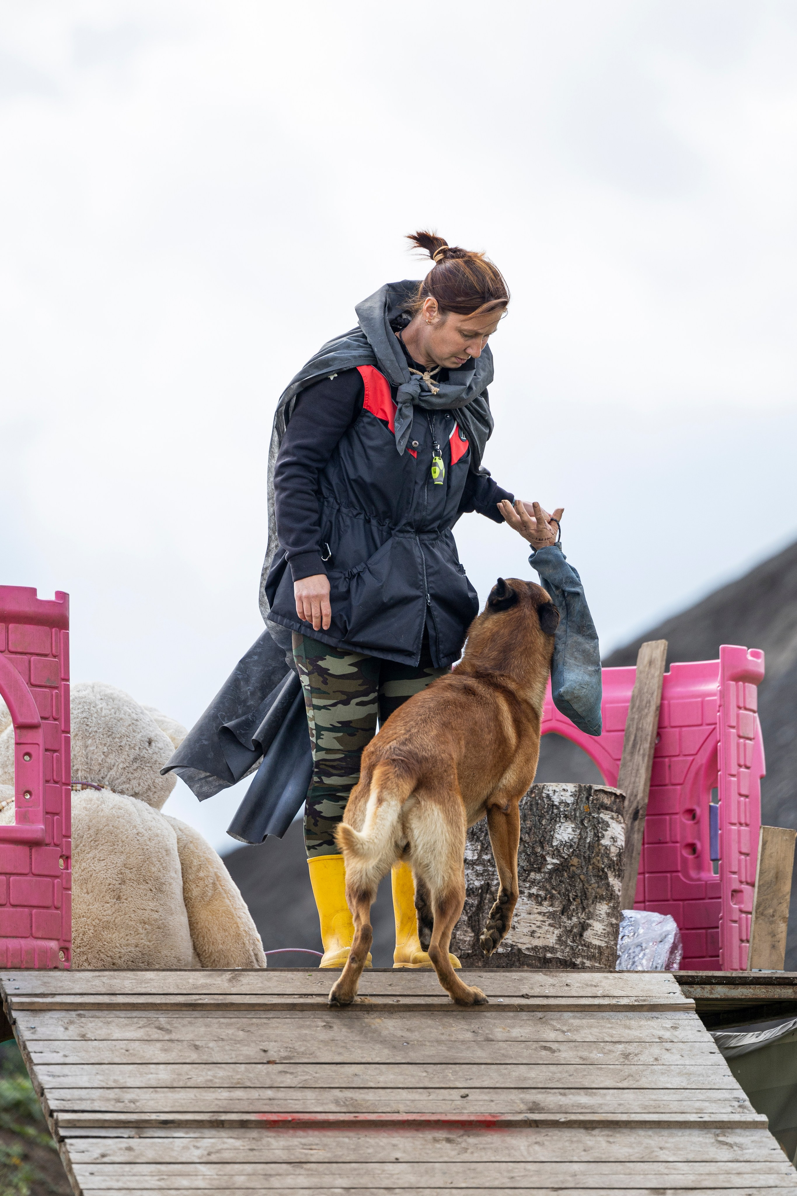 Соревнования по Мондьорингу г. Вологда 10-11.08.2024. Фотограф-анималист Анна Маринич