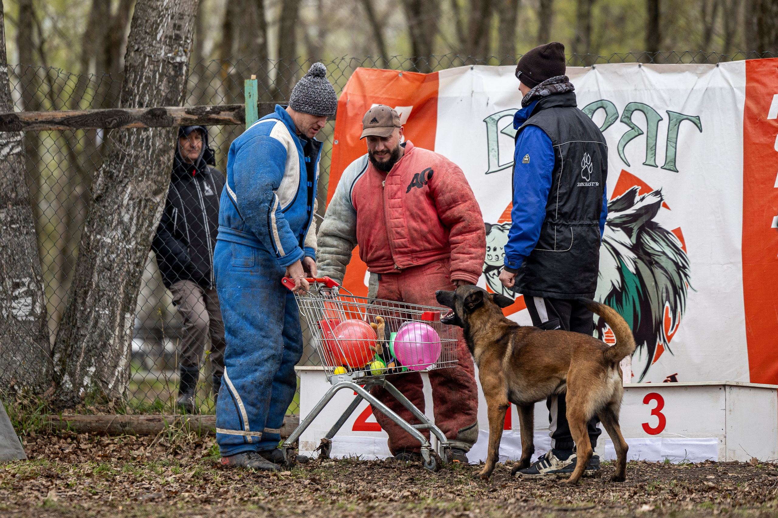 Квалификационные состязания по мондьорингу г. Вологда 11.05.24. Фотограф-анималист Анна Маринич