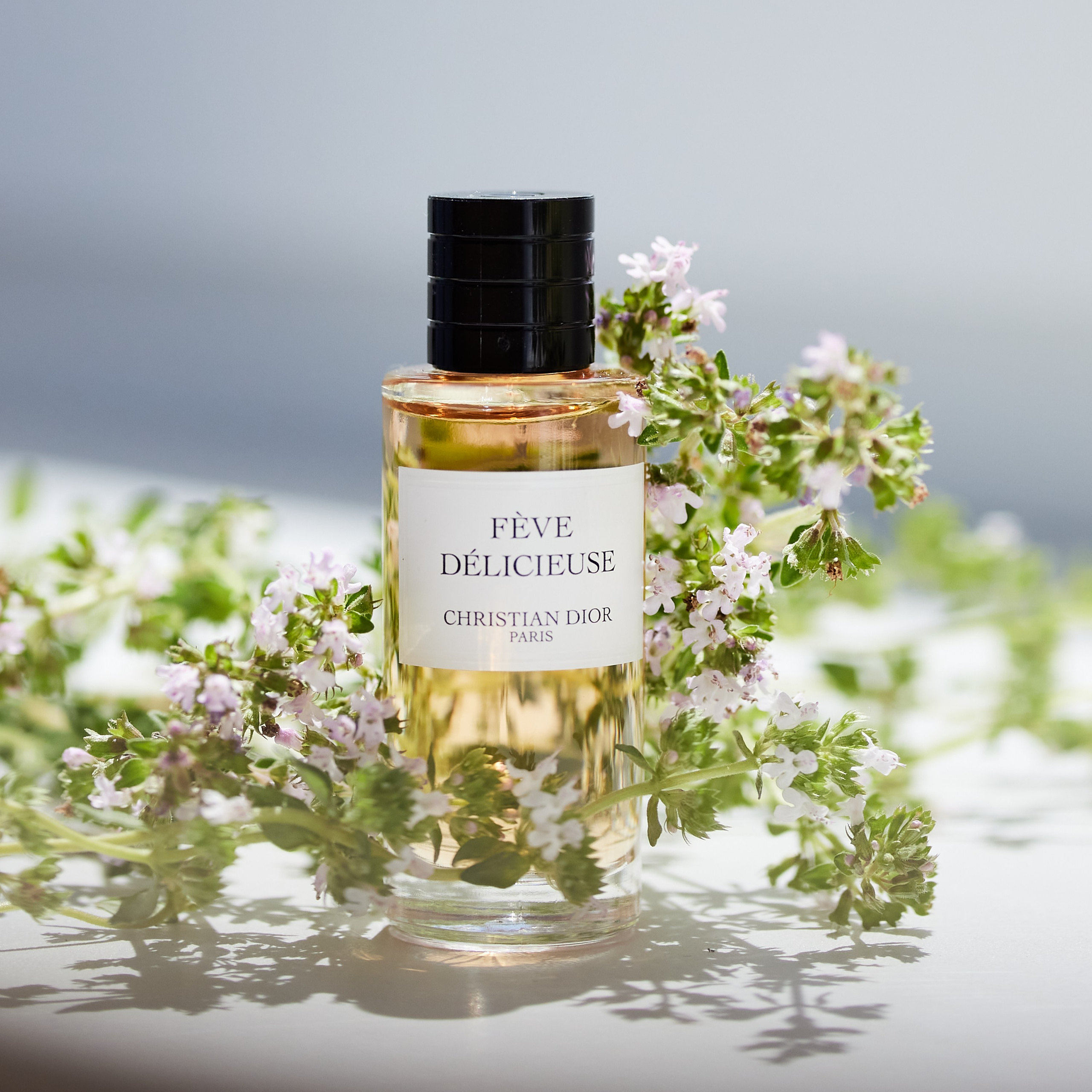 Интерьерная и предметная съемка. Вильчук Зинаида фотограф, ретушер в Санкт-Петербурге