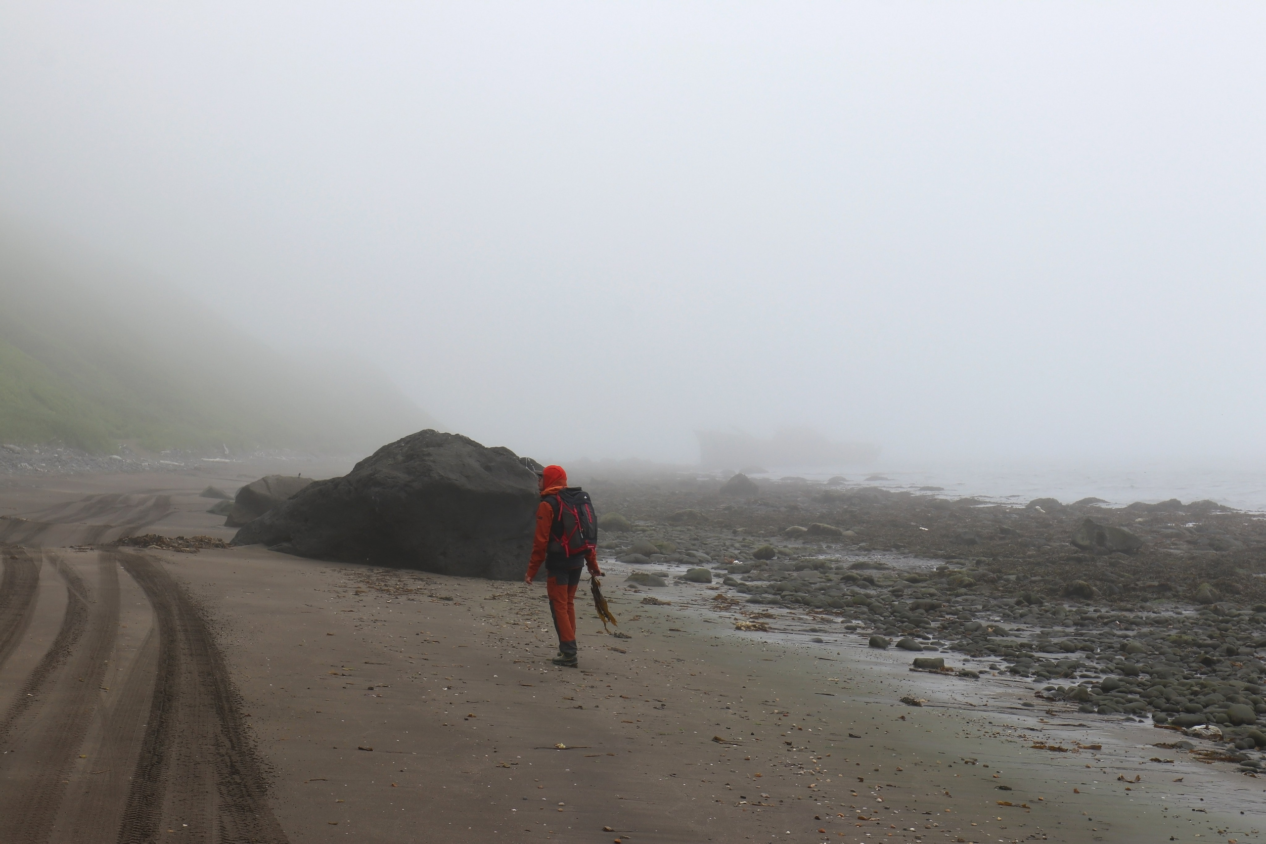 Камчатка и о. Парамушир. Июль 2024. Путешественник-фотограф из Санкт-Петербурга Татьяна Свистулина