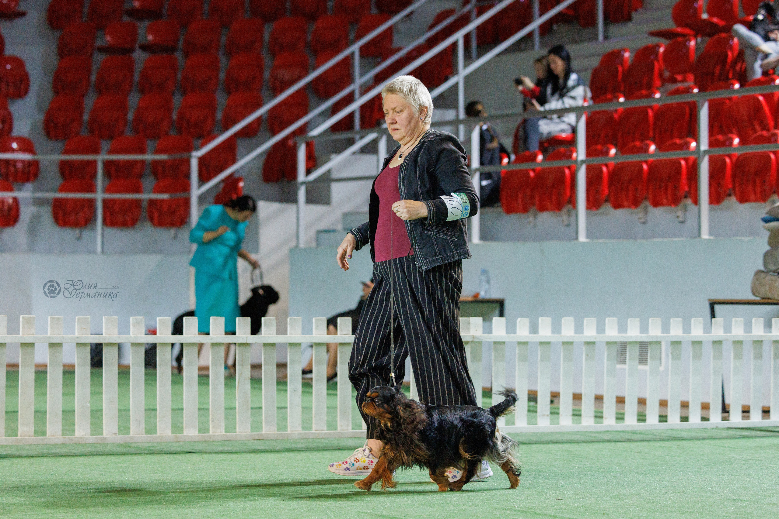 Грузия,Телави 2хCACIB 19-20.10.2024. Фотограф-анималист Юлия Германика