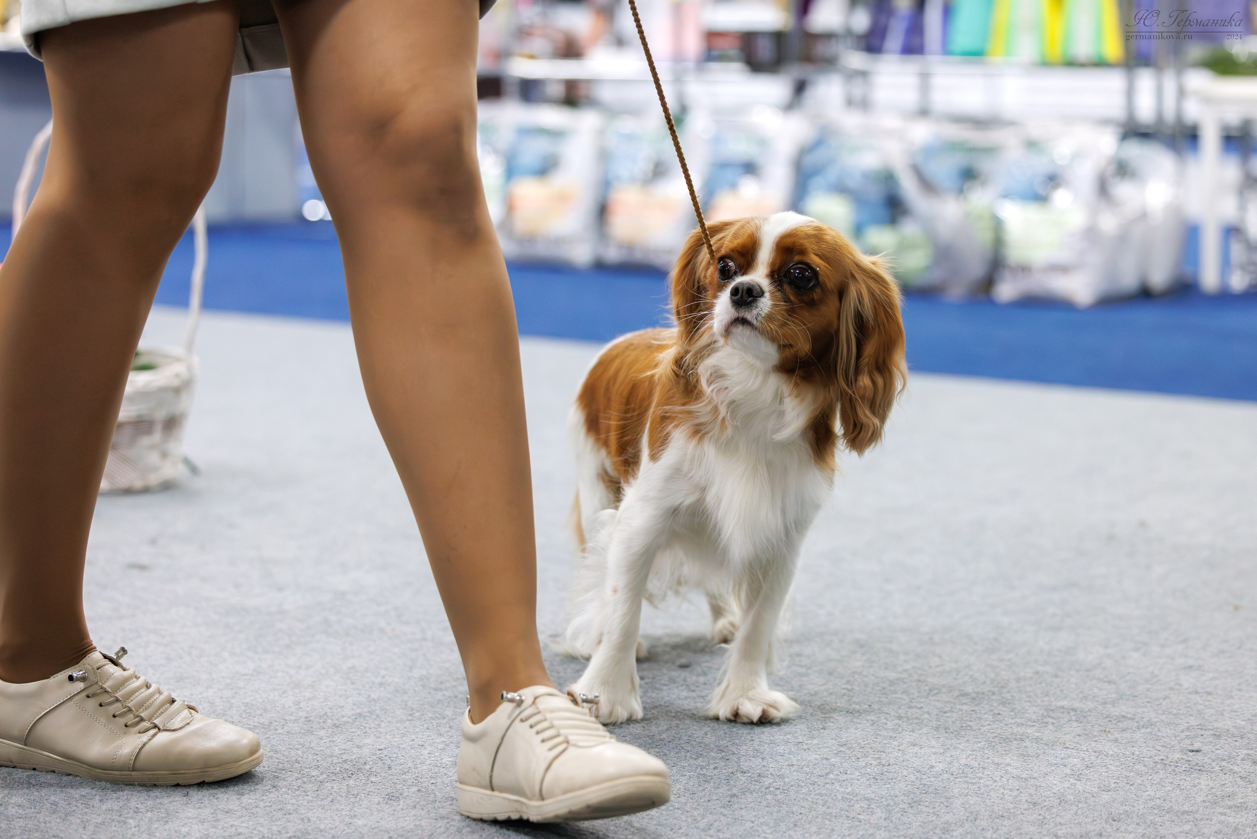 Сфера 06.04.2025. Фотограф-анималист Юлия Германика