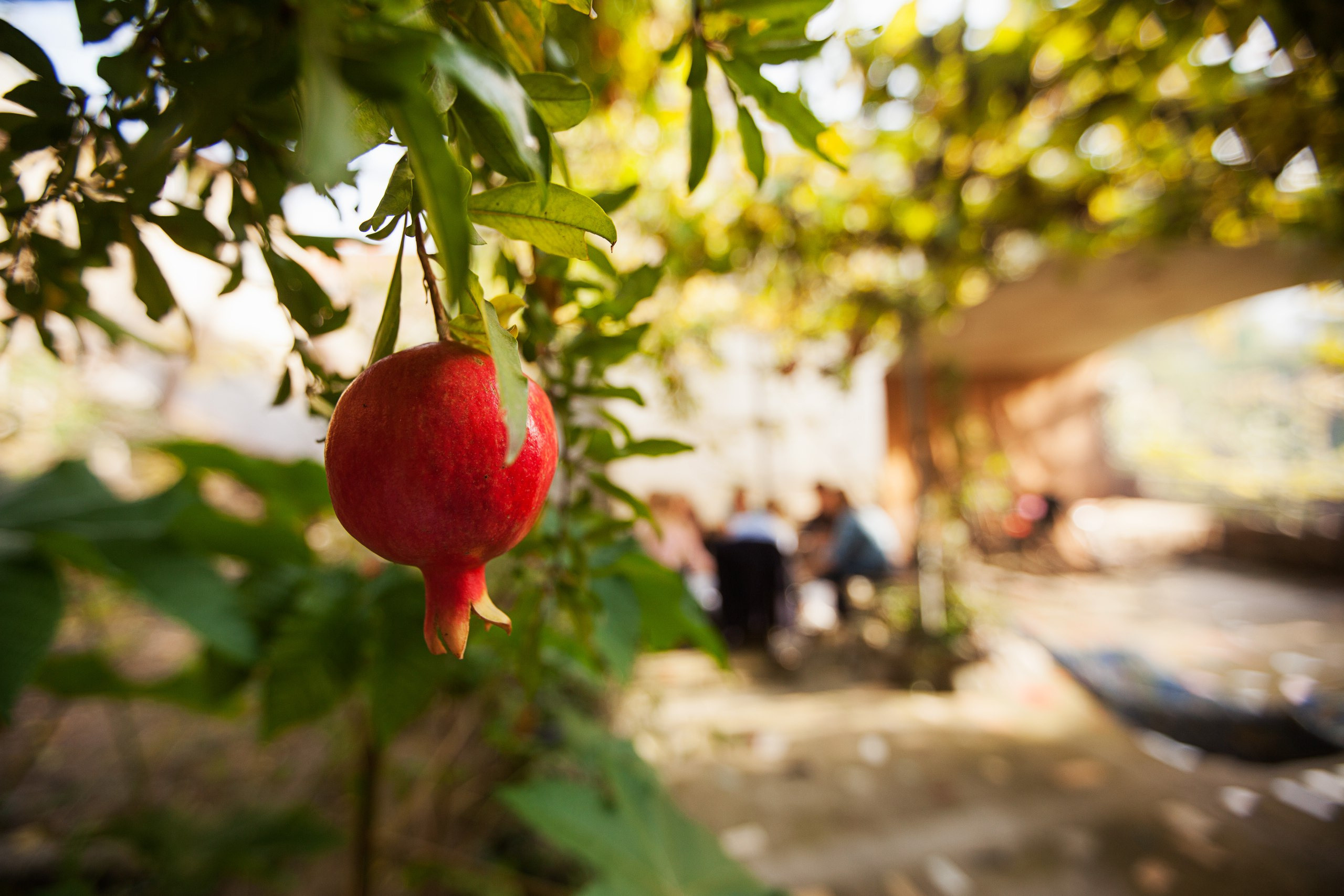 Adventure report. Evgeniia Sinkevich. Photographer in Riga and Europe