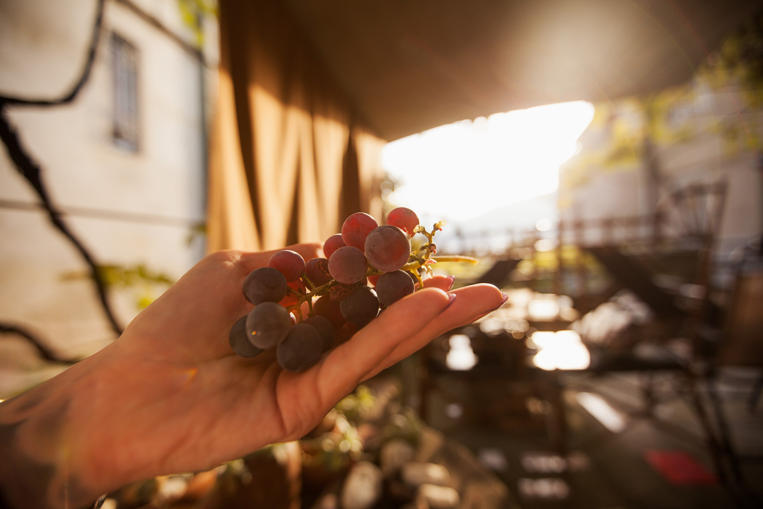 Adventure report. Evgeniia Sinkevich. Photographer in Riga and Europe