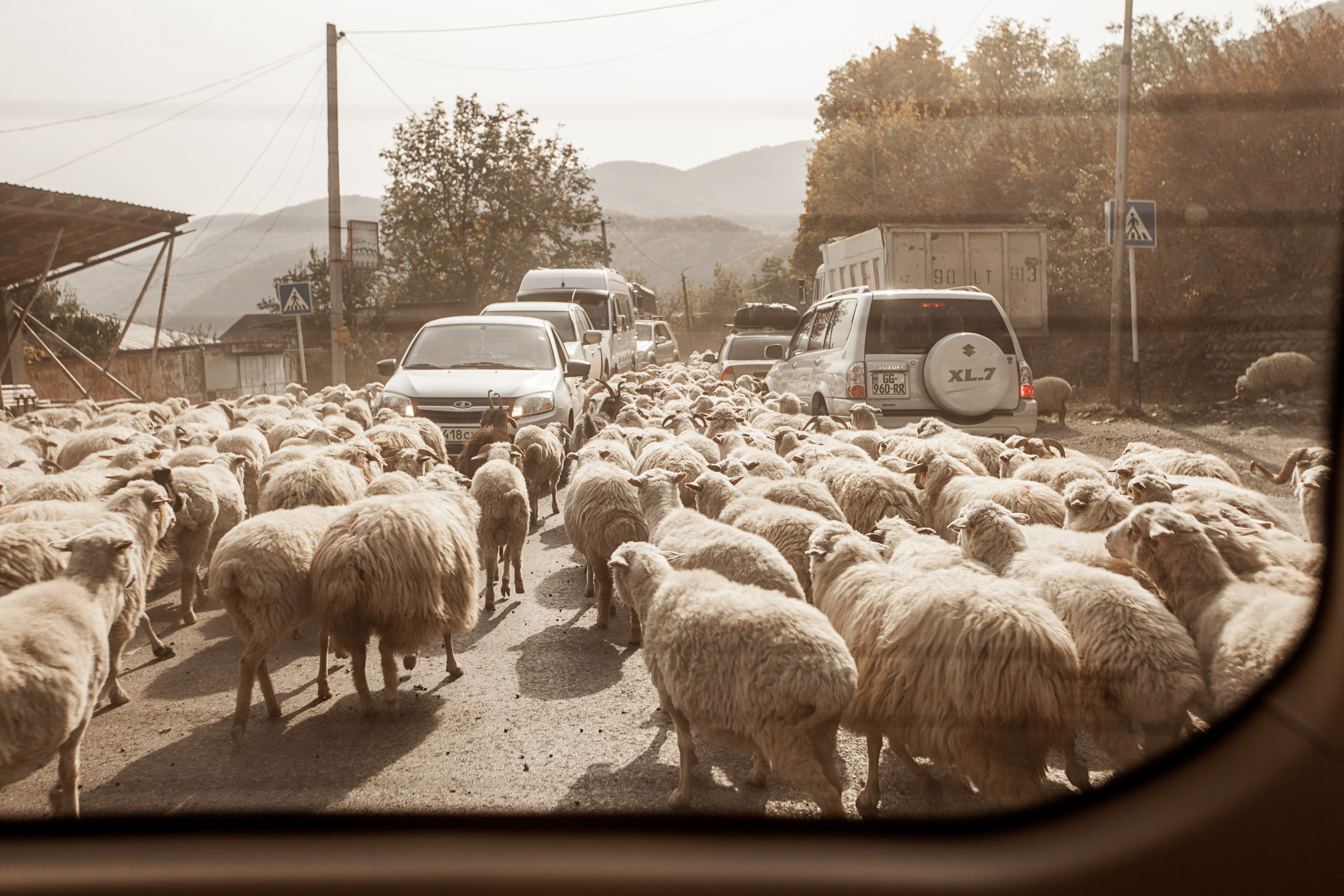 Adventure report. Evgeniia Sinkevich. Photographer in Riga and Europe