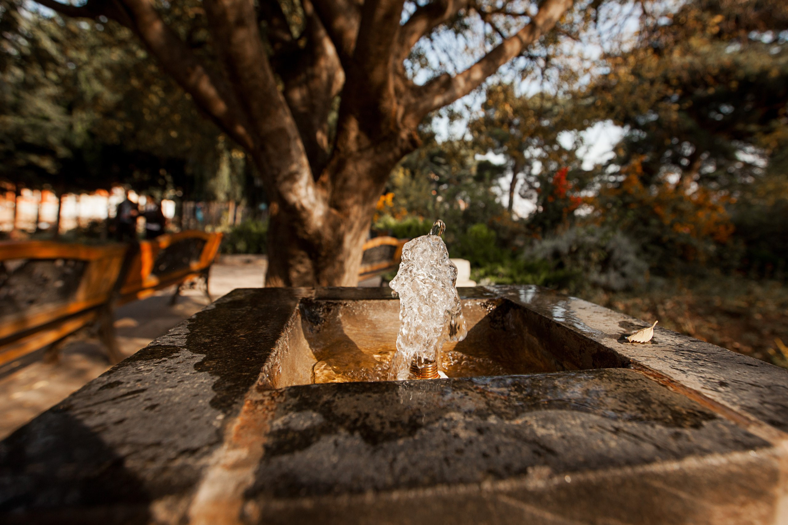 Adventure report. Evgeniia Sinkevich. Photographer in Riga and Europe