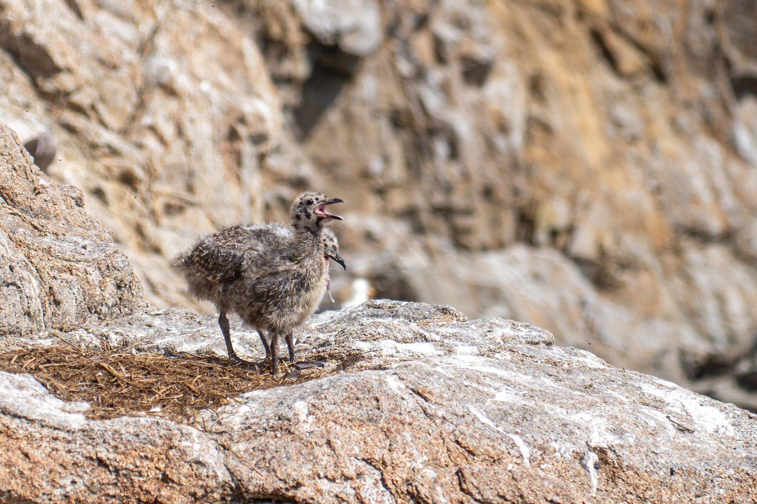 Сахалин 2025. Творческие сьемки