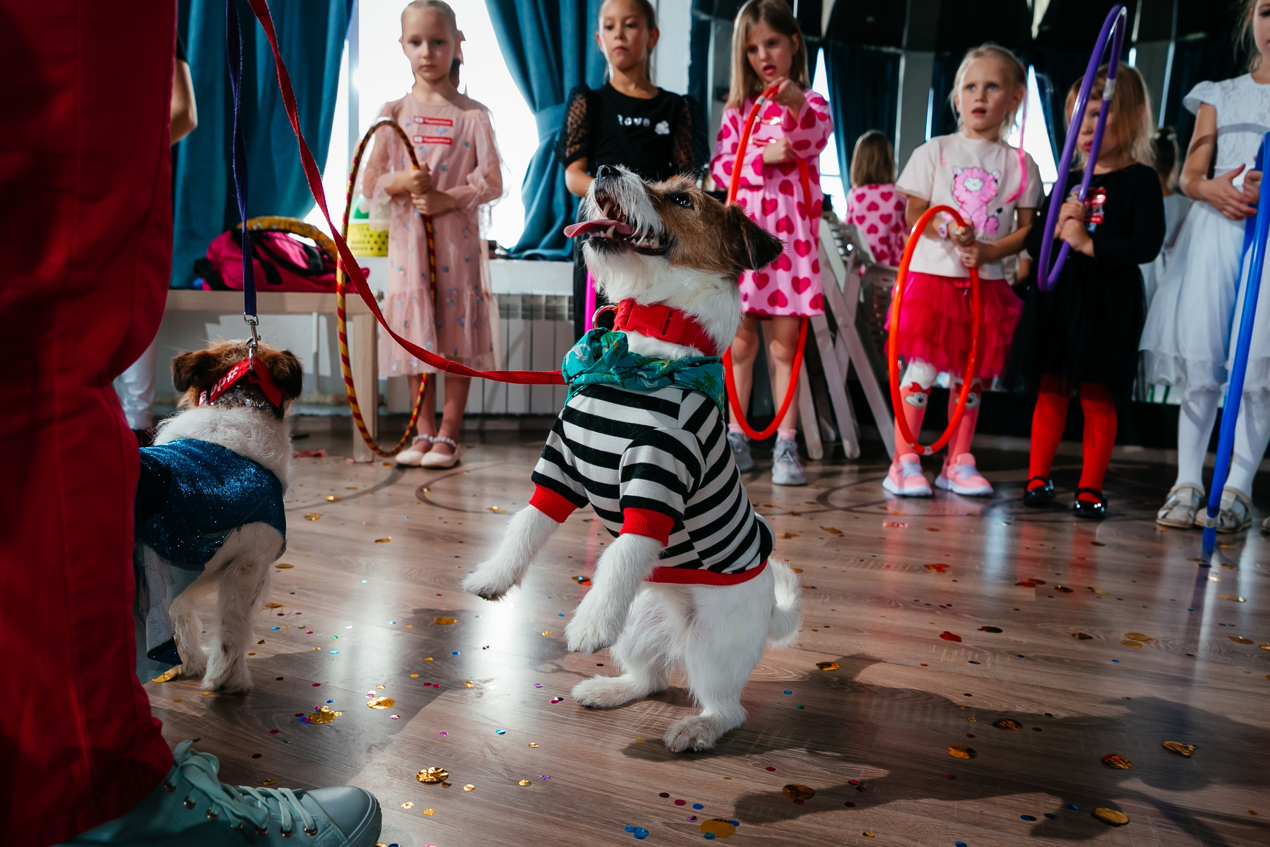 Детские дни рождения. Свадебный и репортажный фотограф Александр Козлов