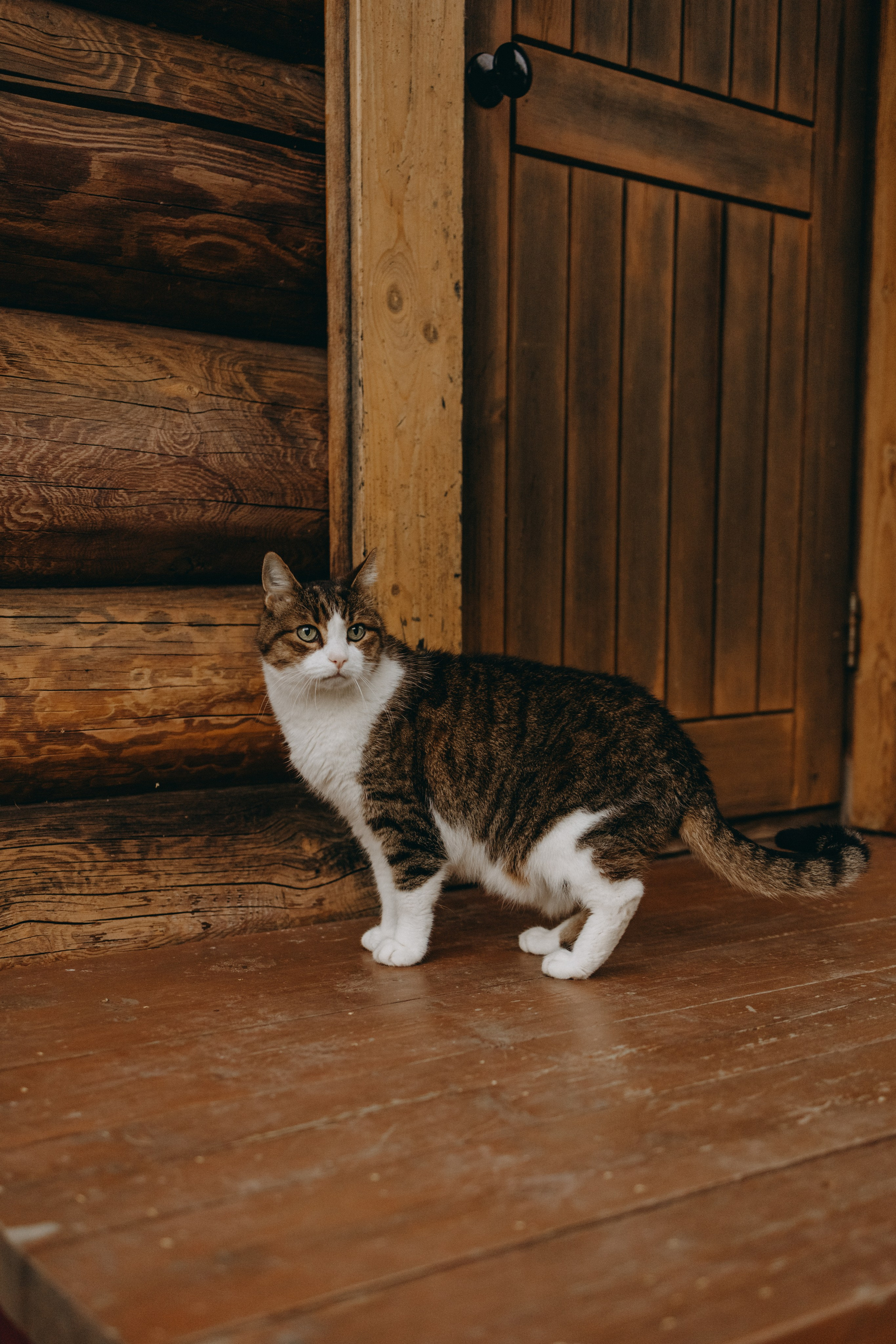 Дом у реки. Фотограф — Анималист | Санкт-Петербург