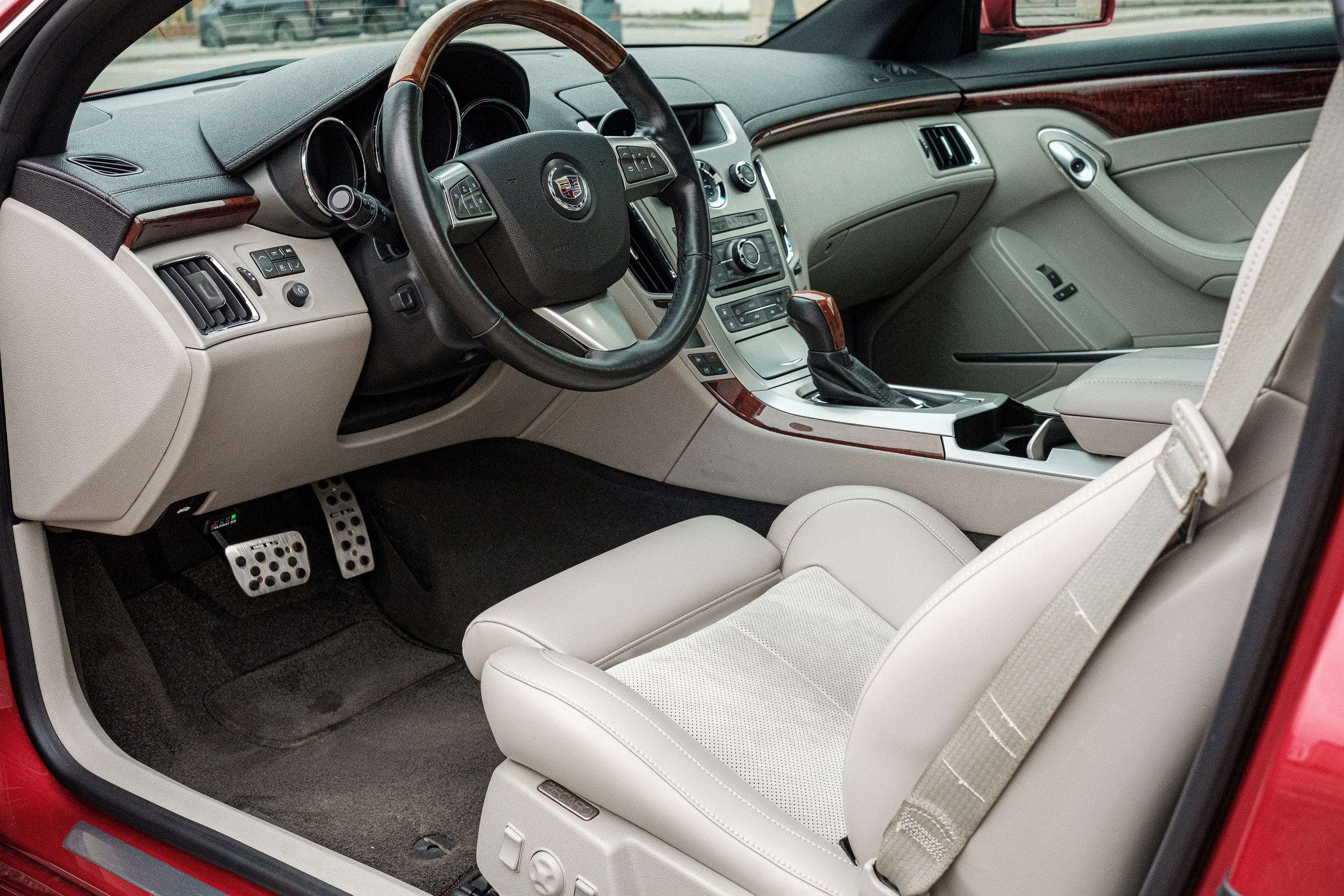 Кэдди. Алексей Никифоров фотограф Москва, Химки