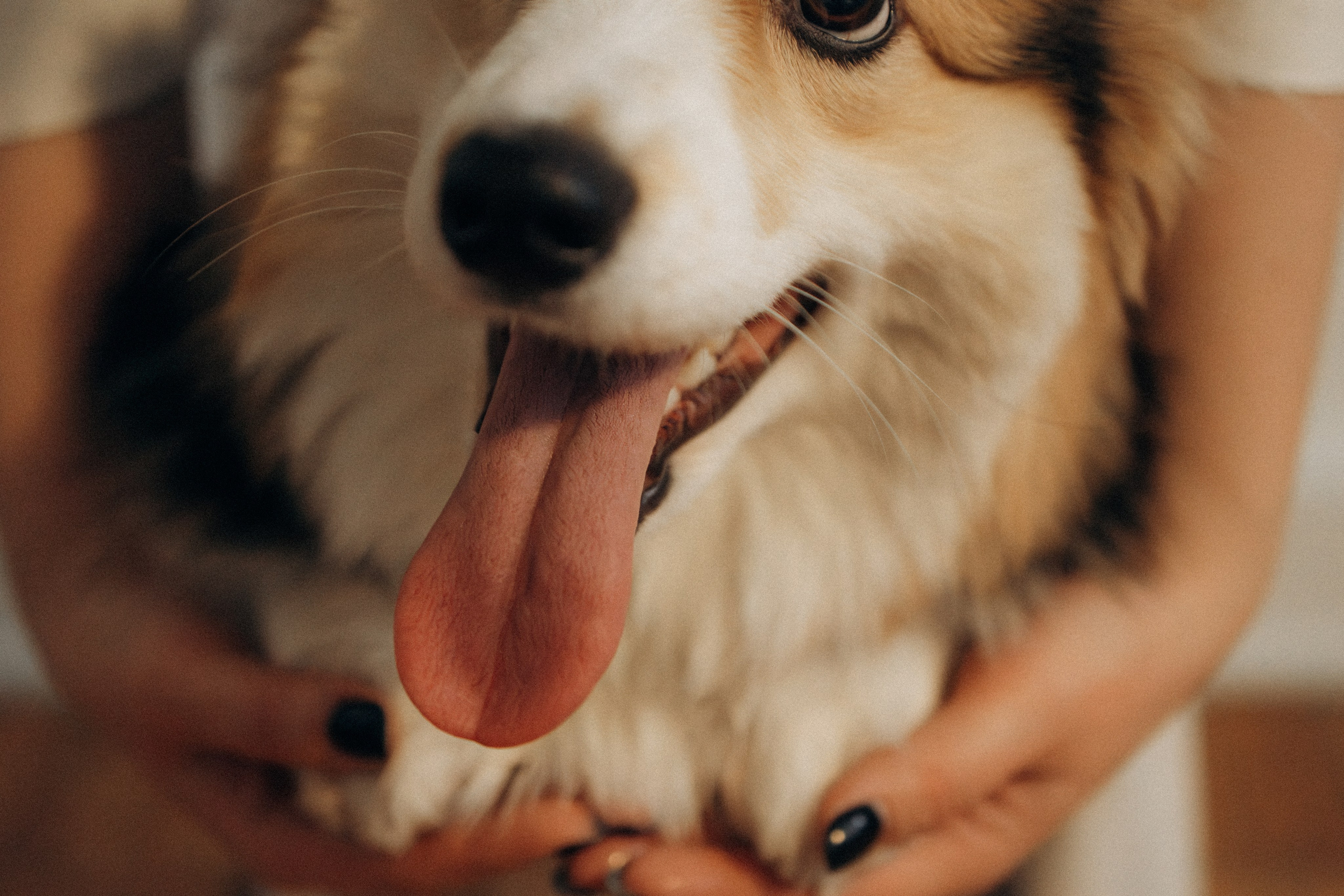 Мишель и Влада. Фотораф — анималист Мария Шистка