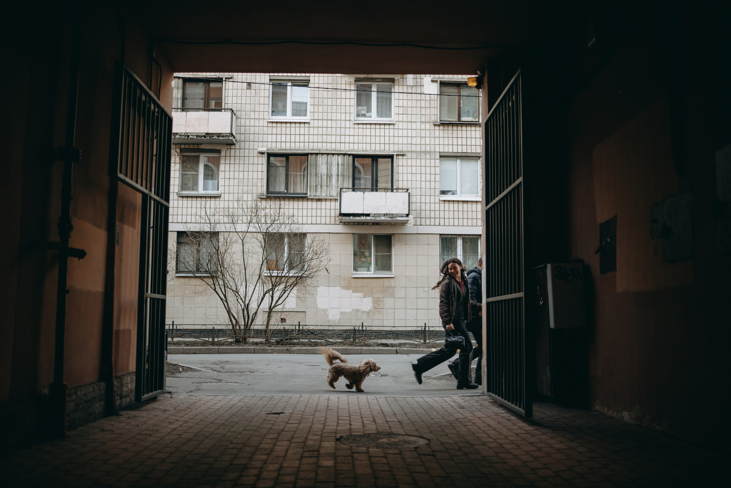 Шкипер и его семья. Фотограф — Анималист | Санкт-Петербург