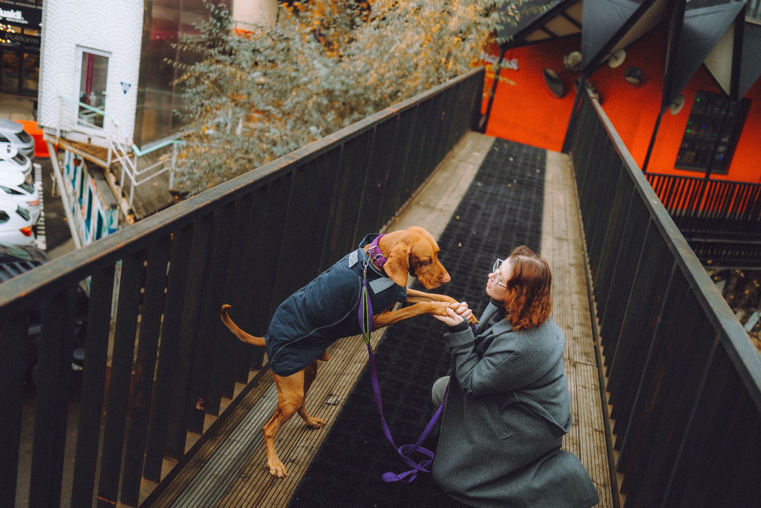 Екатерина и Даня