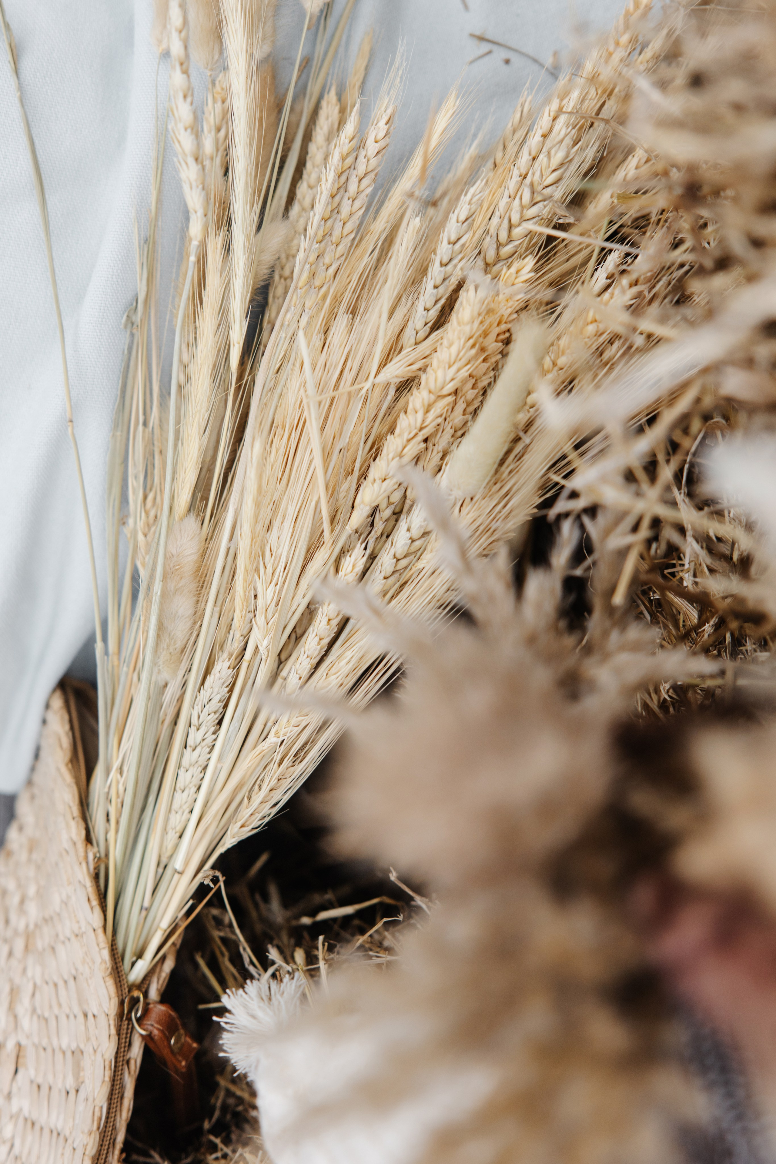 ГРЕНАДА. Фотограф в Красноярске