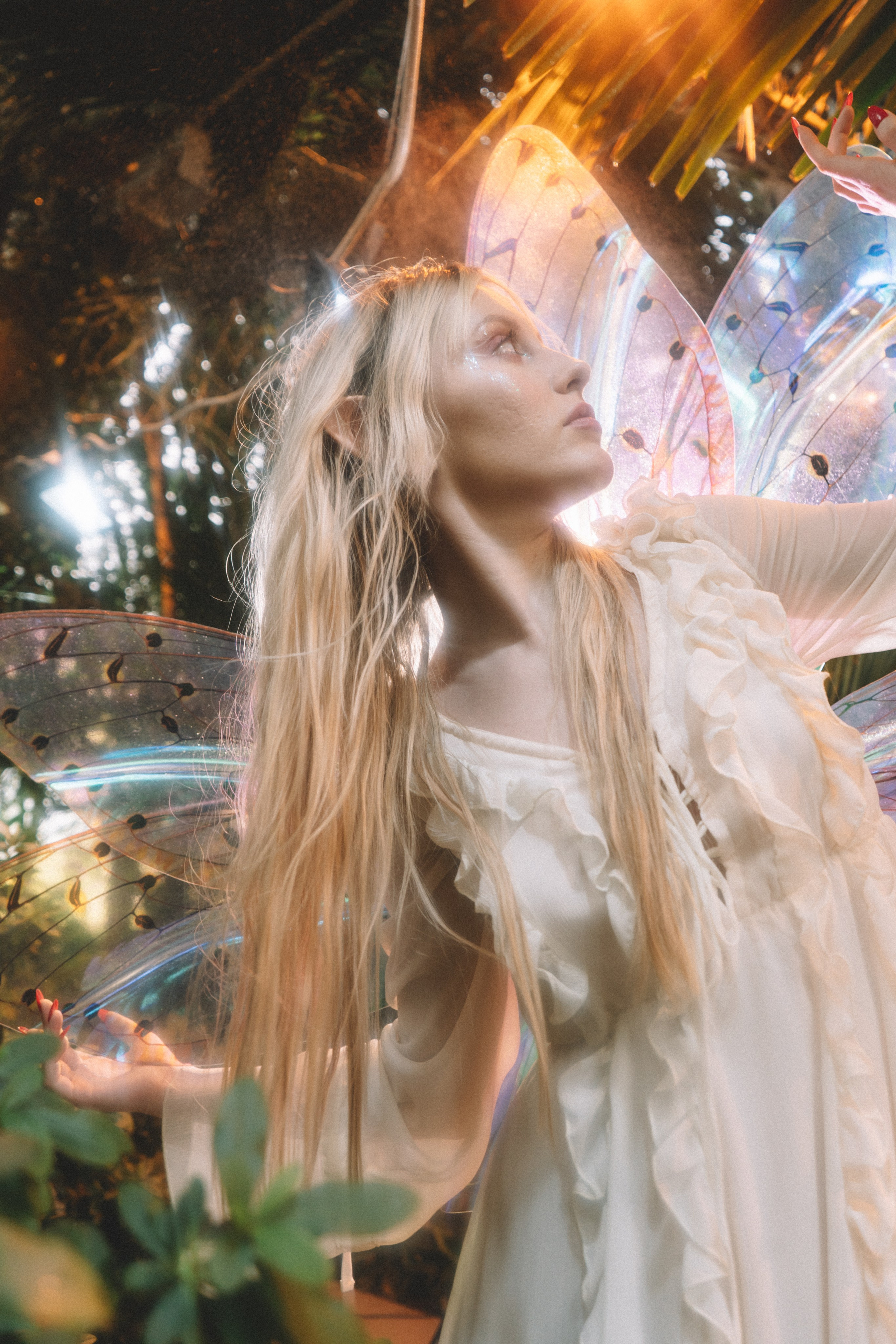 Тайный лес. Анастасия Попова — Fashion photographer