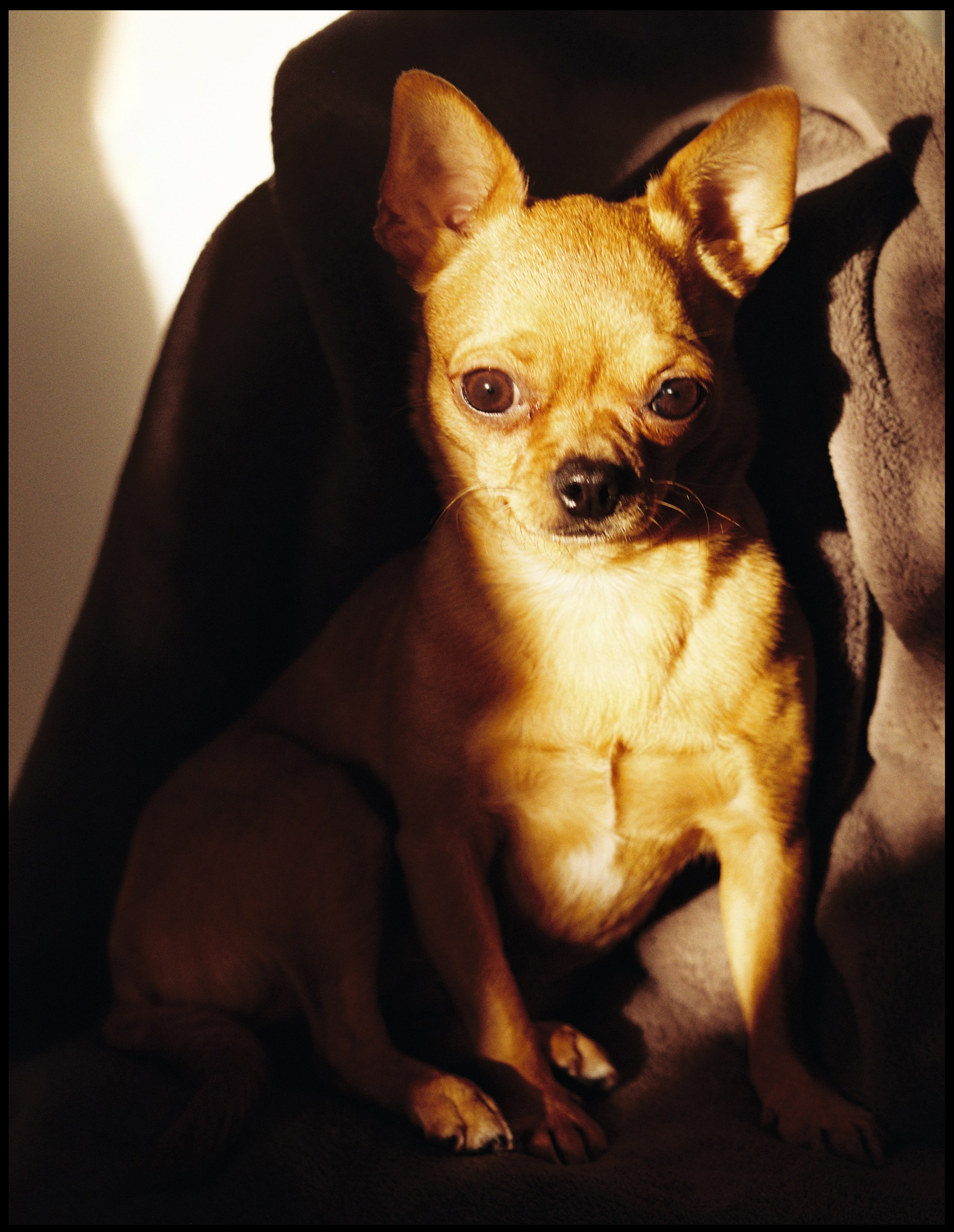 Картинки. Сандра Ковалева | ЧБ фотограф