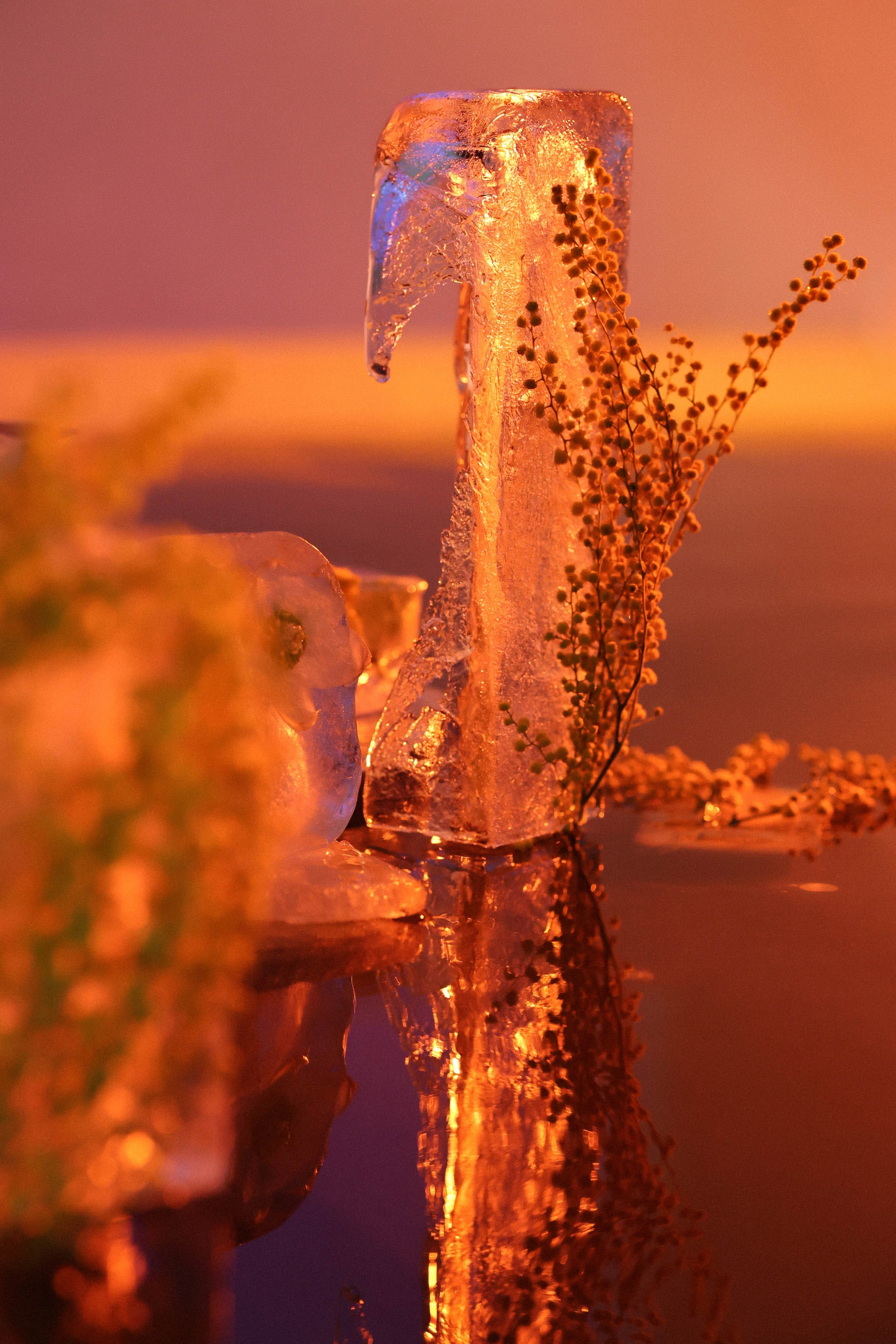 ПРОБУЖДЕНИЕ СЕРДЦА. Свадебный, репортажный, фотограф Москва и Московская область