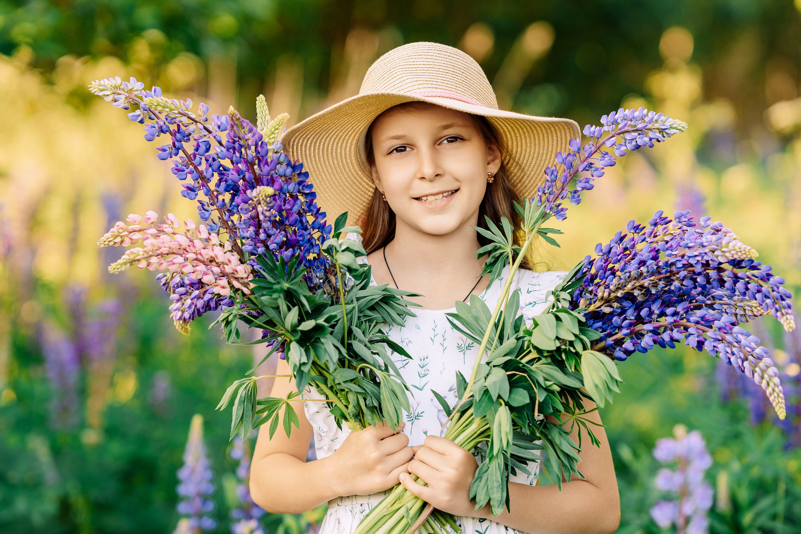 Люпины. Фотограф Юлия Попова