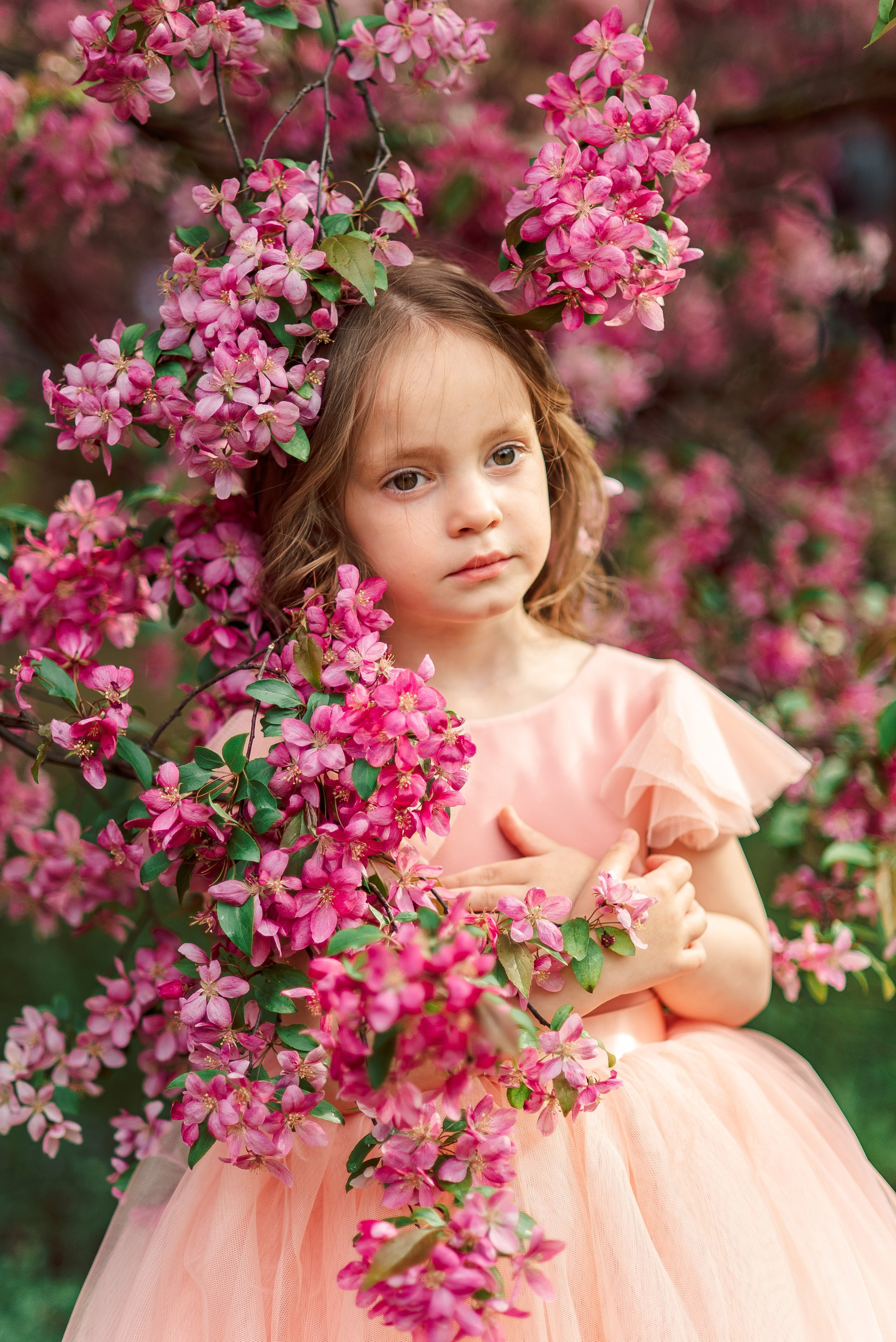 Цветение. Фотограф Юлия Попова