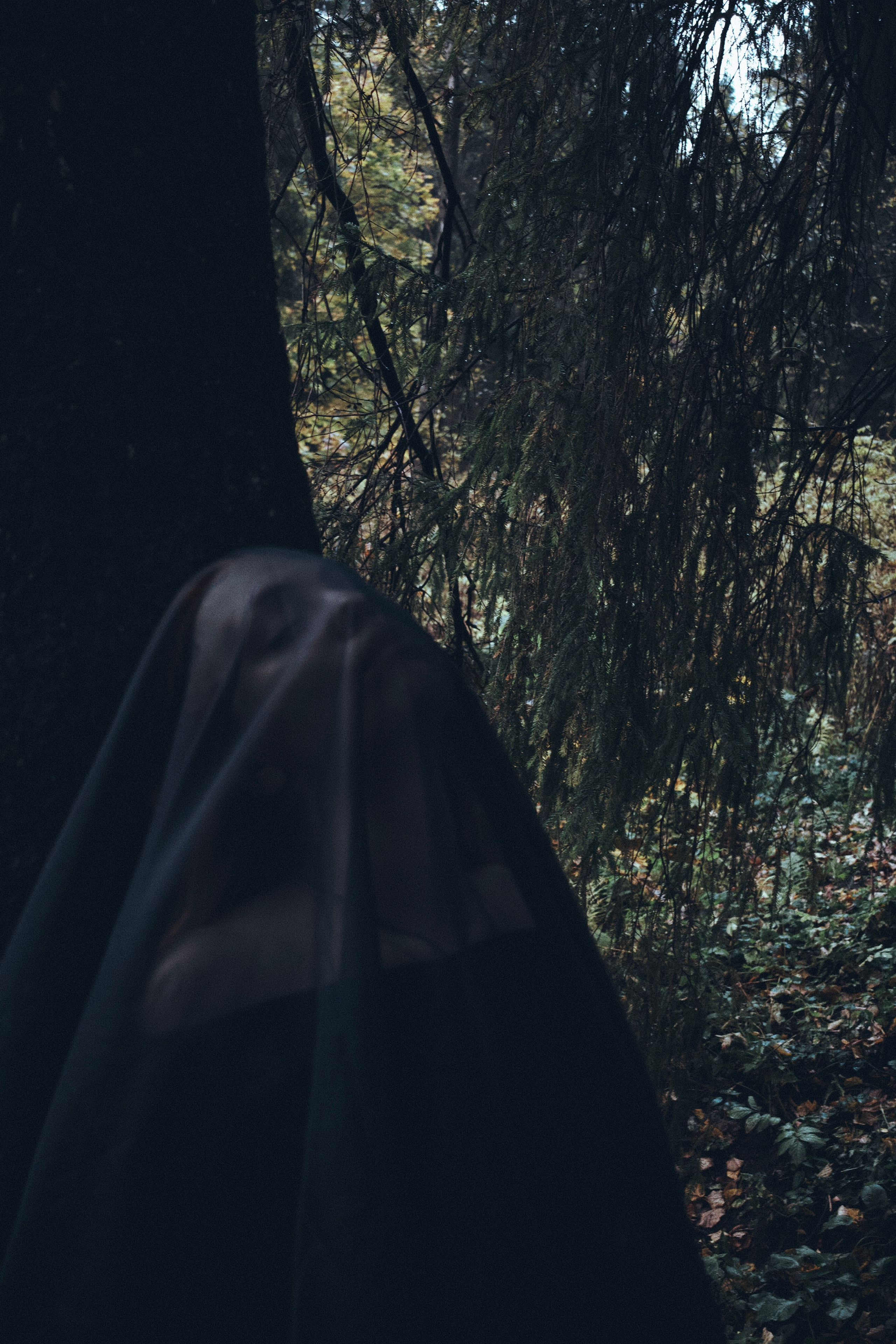 Где спит туман. Ваагн Малхасян | Фотограф | Санкт-Петербург. Создаю атмосферные кадры