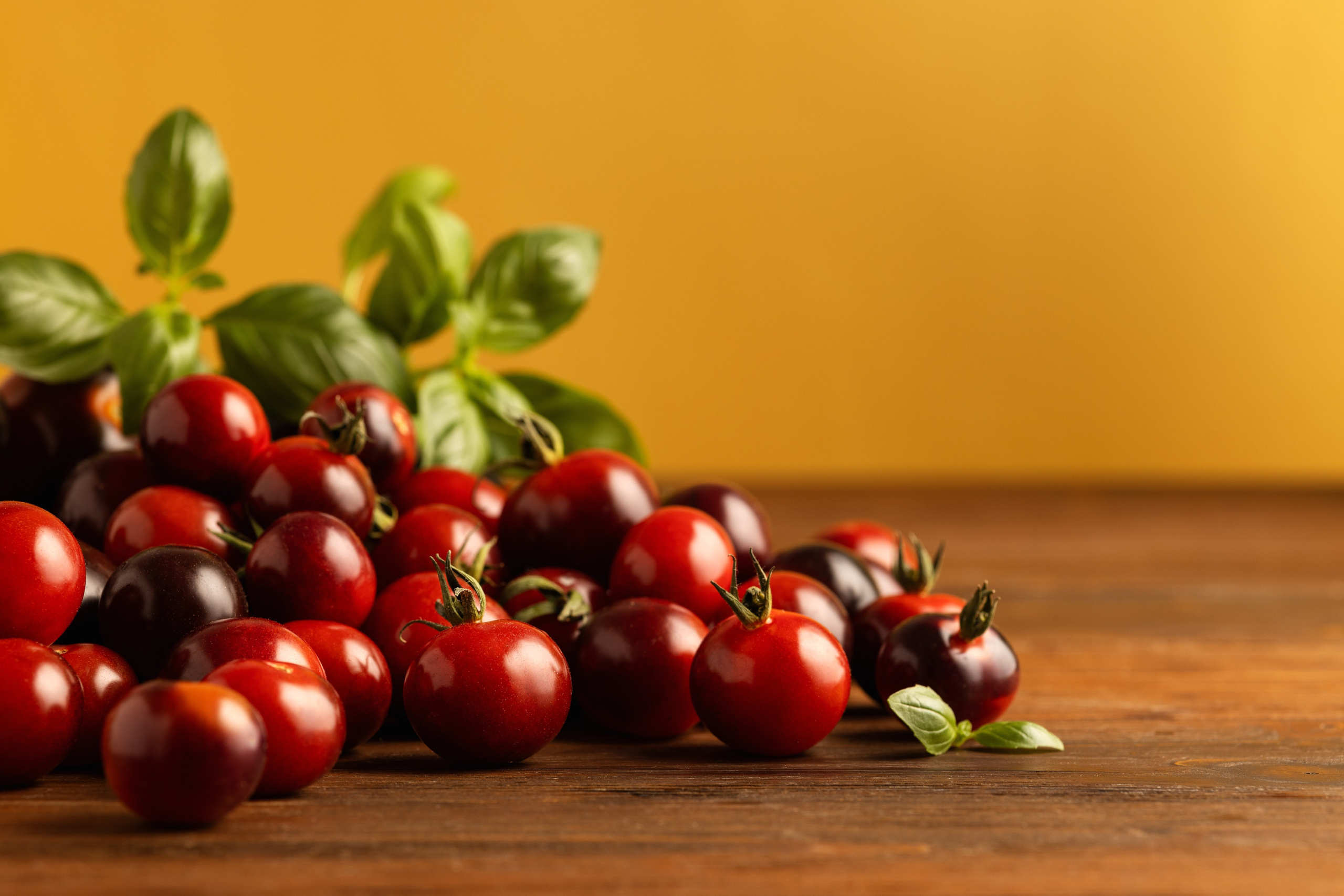 Фуд фото. Портретная и индивидуальная фотосъёмка в Граце и Тюмени