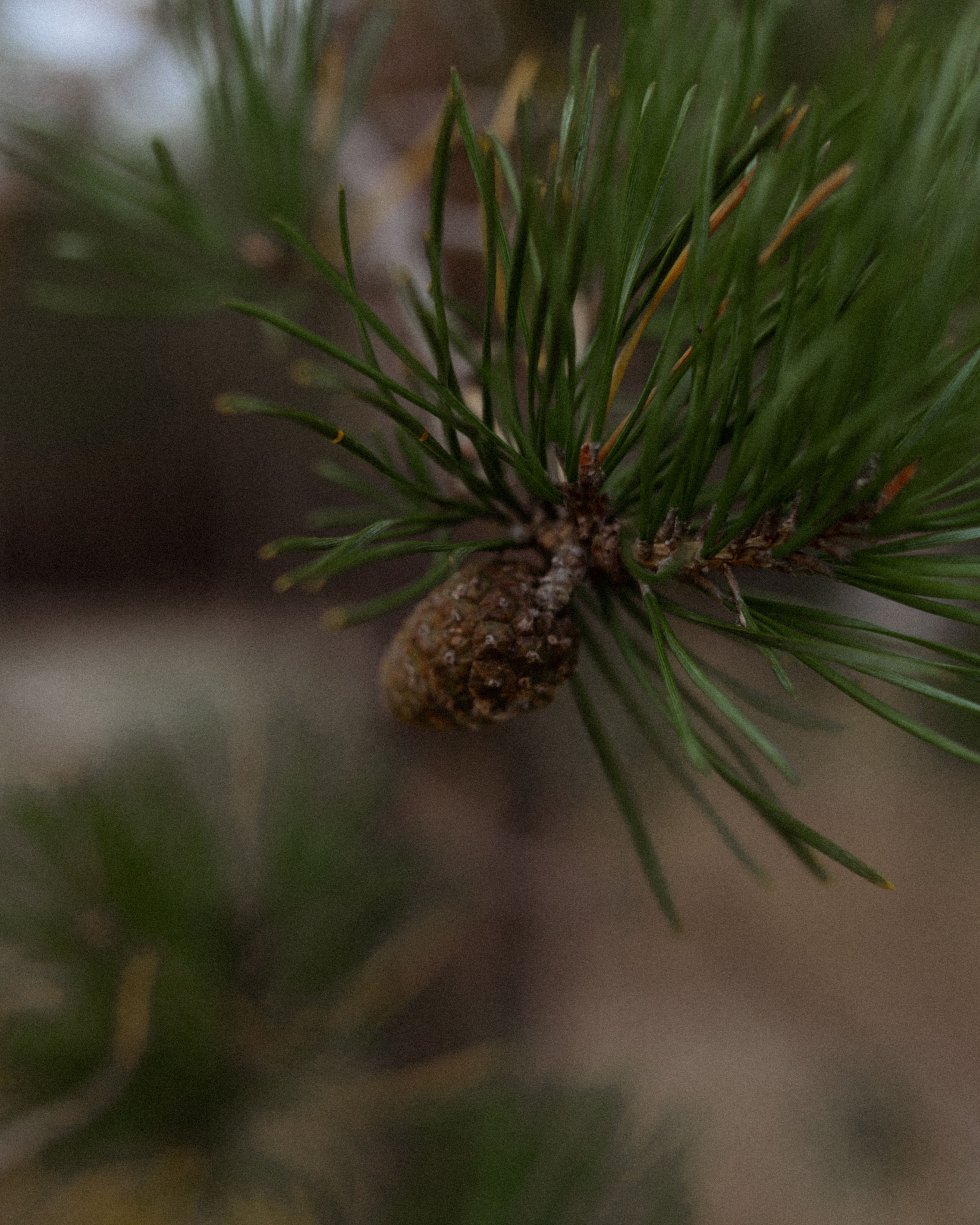 Детский портрет. Меня зовут Филатова Юлия и я фотографирую женский портрет, семейные съемки, детей в МО и Москве