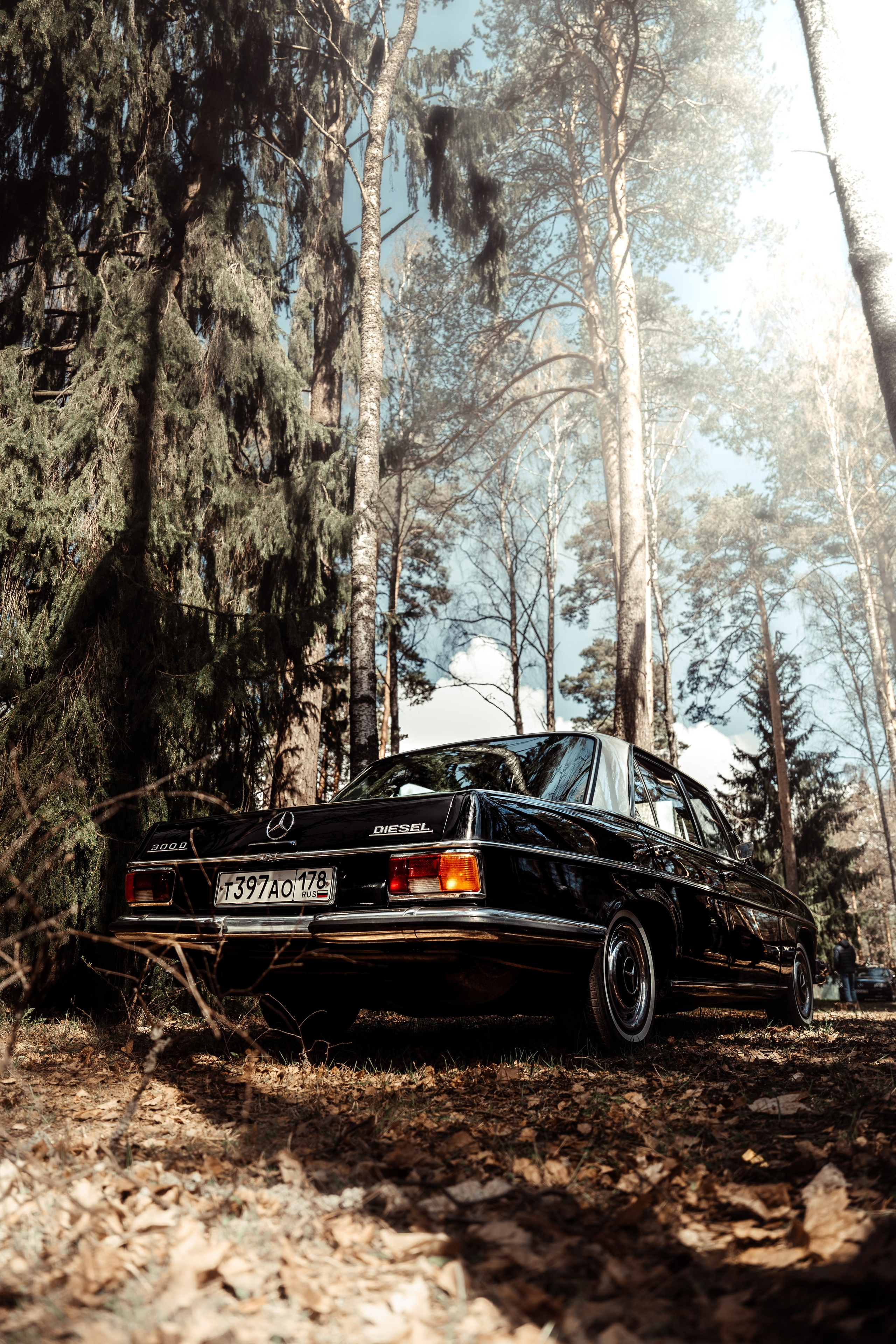 BENZ CLASSIC PICNIC. АВТОСПОРТИВНЫЙ ФОТОГРАФ