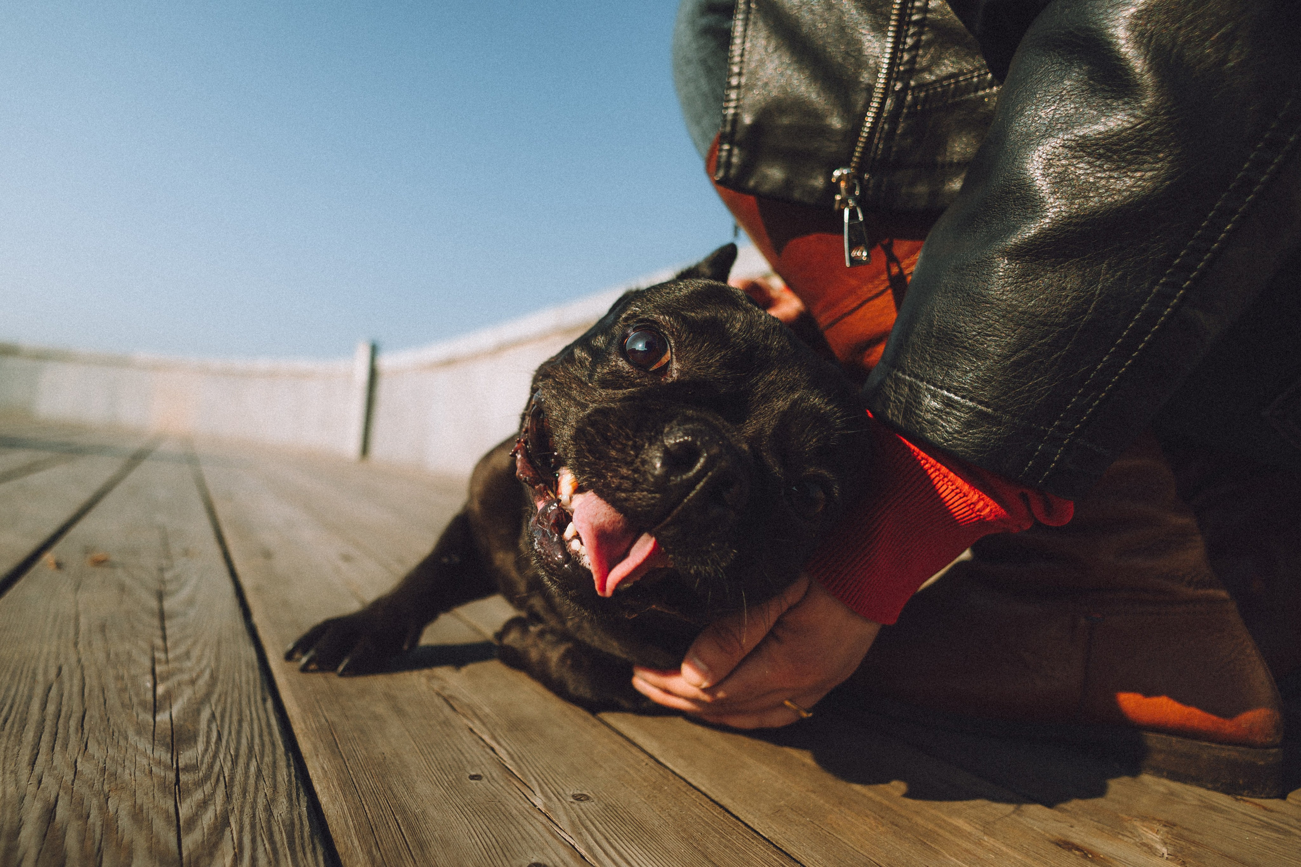 Саша, Дима и Шпуля