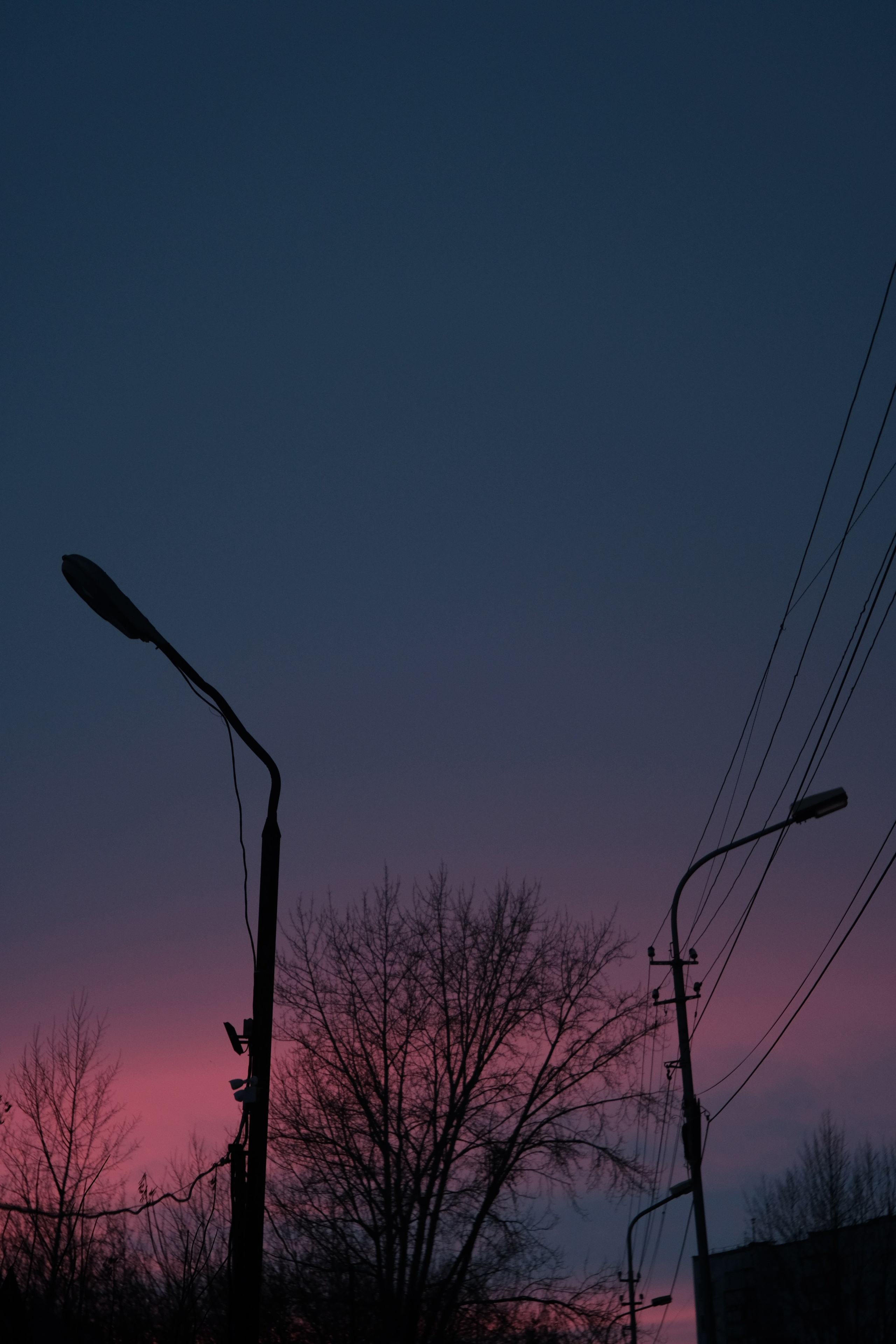 Наблюдения. Семейный фотограф в Новосибирске Артём Кузнецов