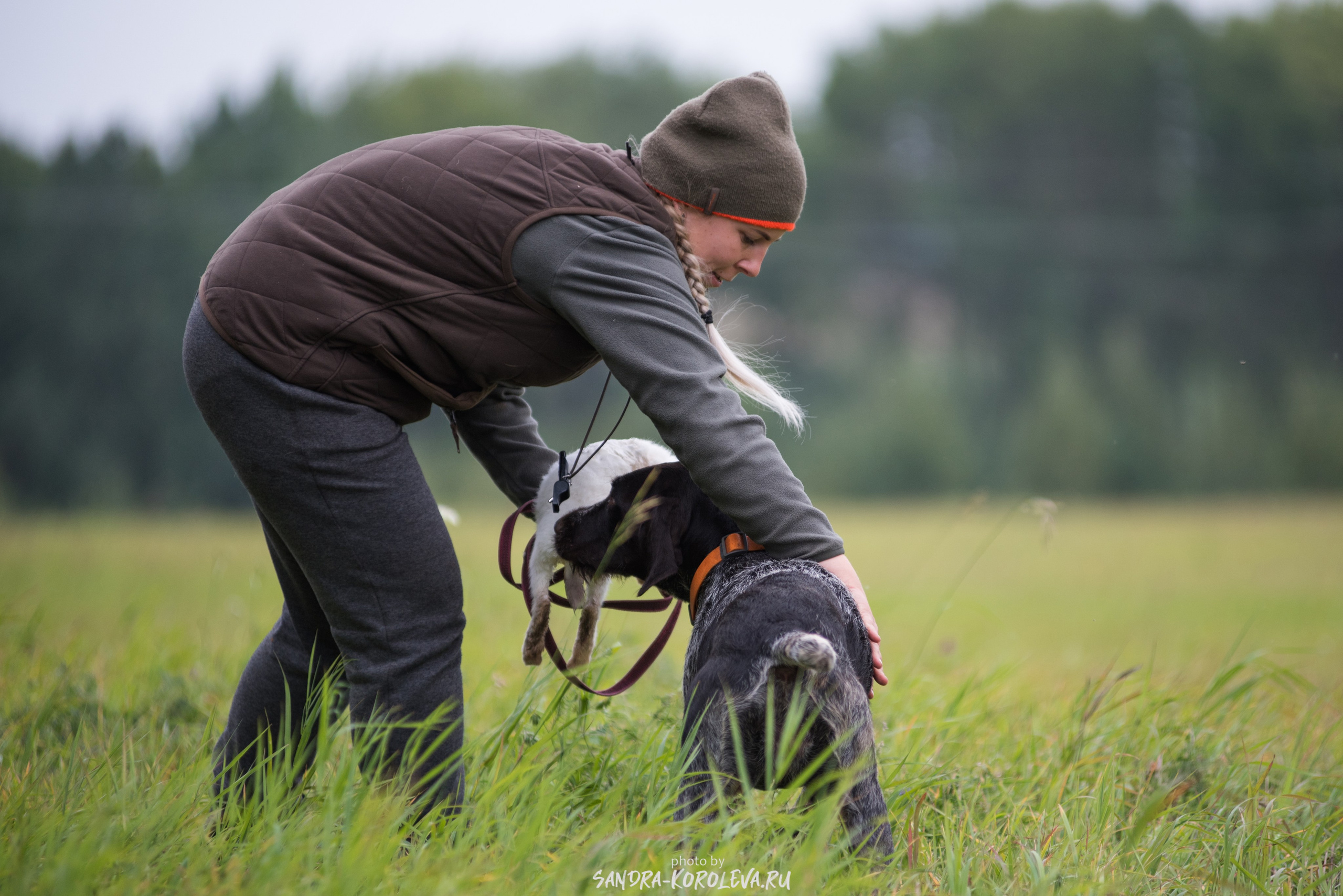 Рабочие дипломы. Главная