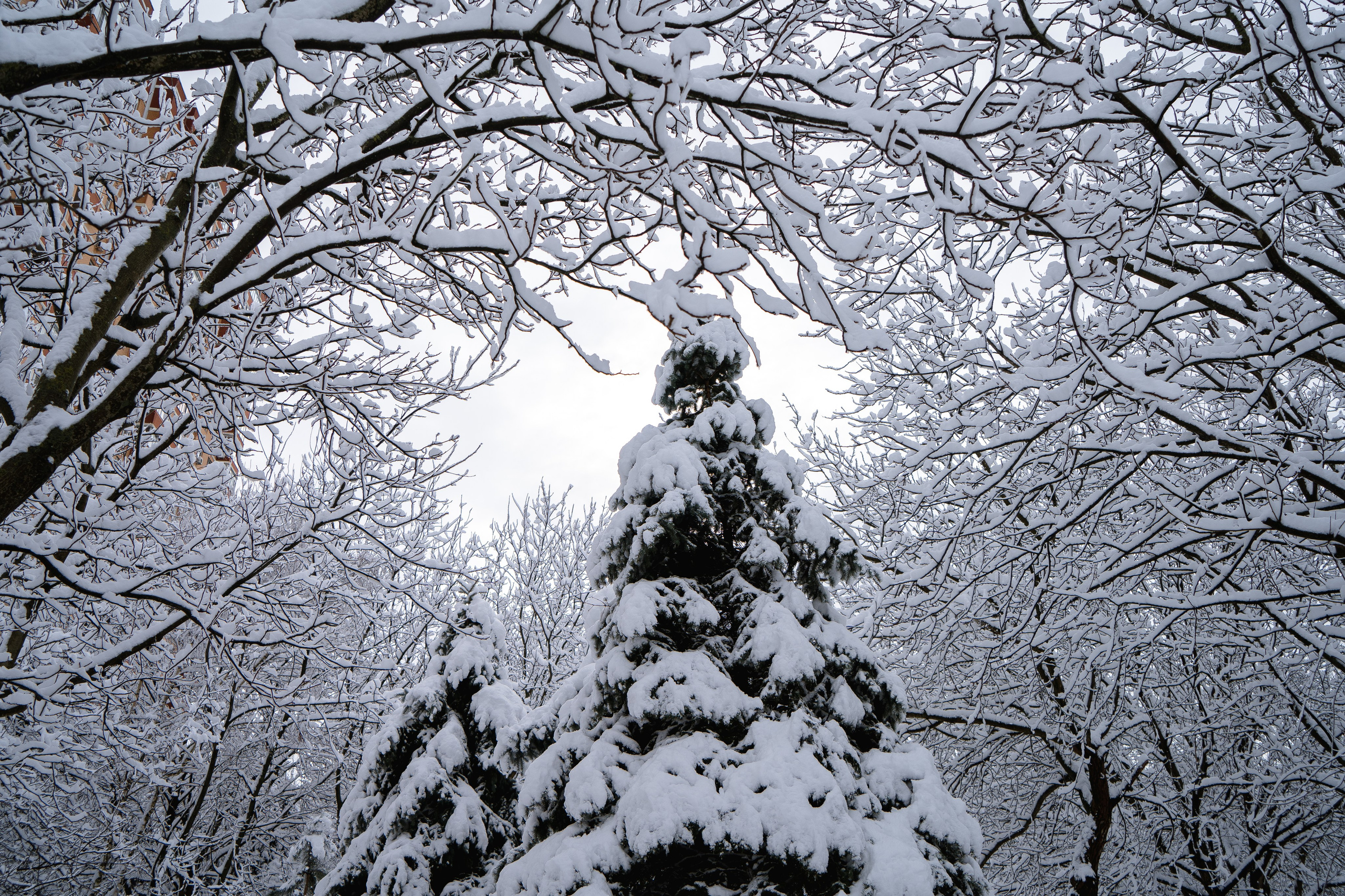 Зима 2024. Свадебный и семейный фотограф/видеограф в Краснодаре Наталья Осинская