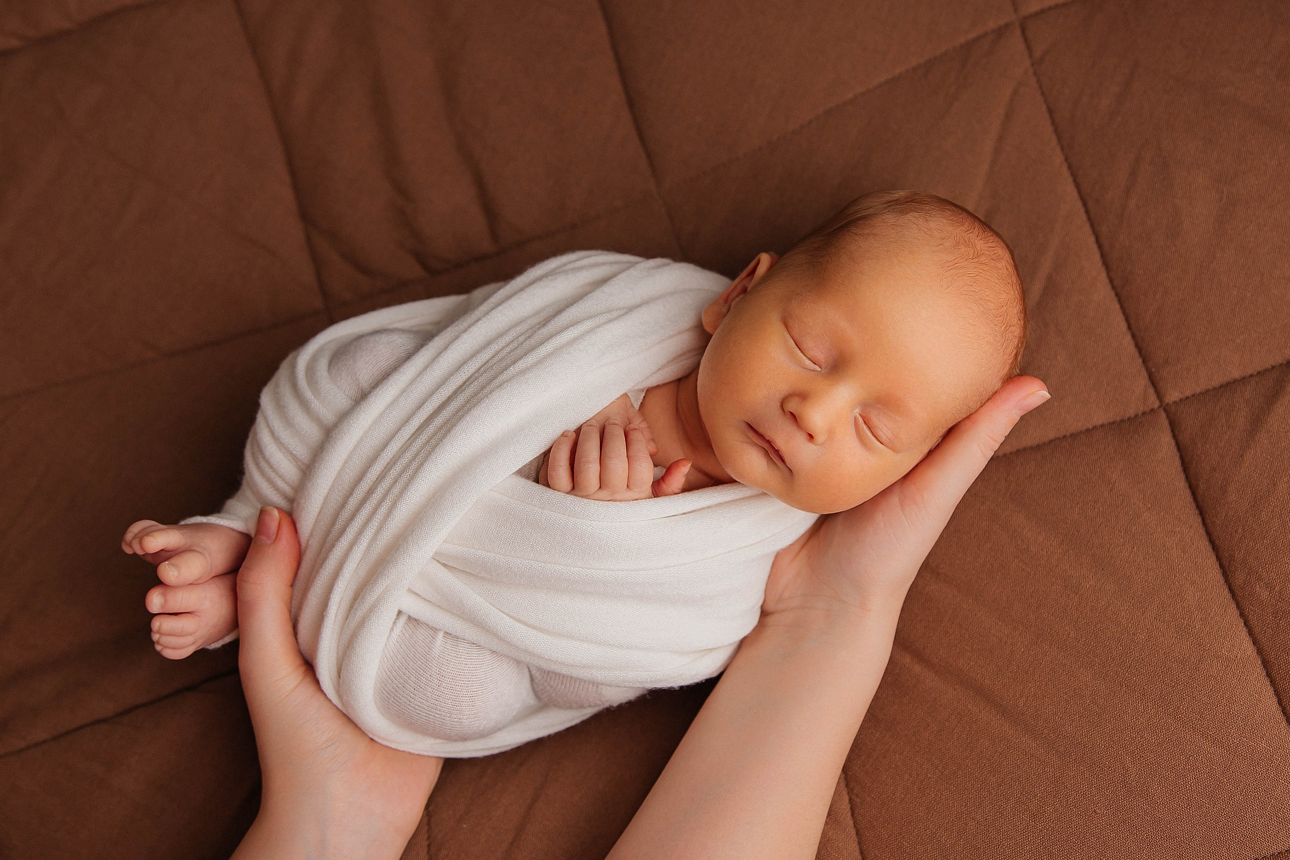 Лев. Фотограф новорожденных Тверь Диана Муляева