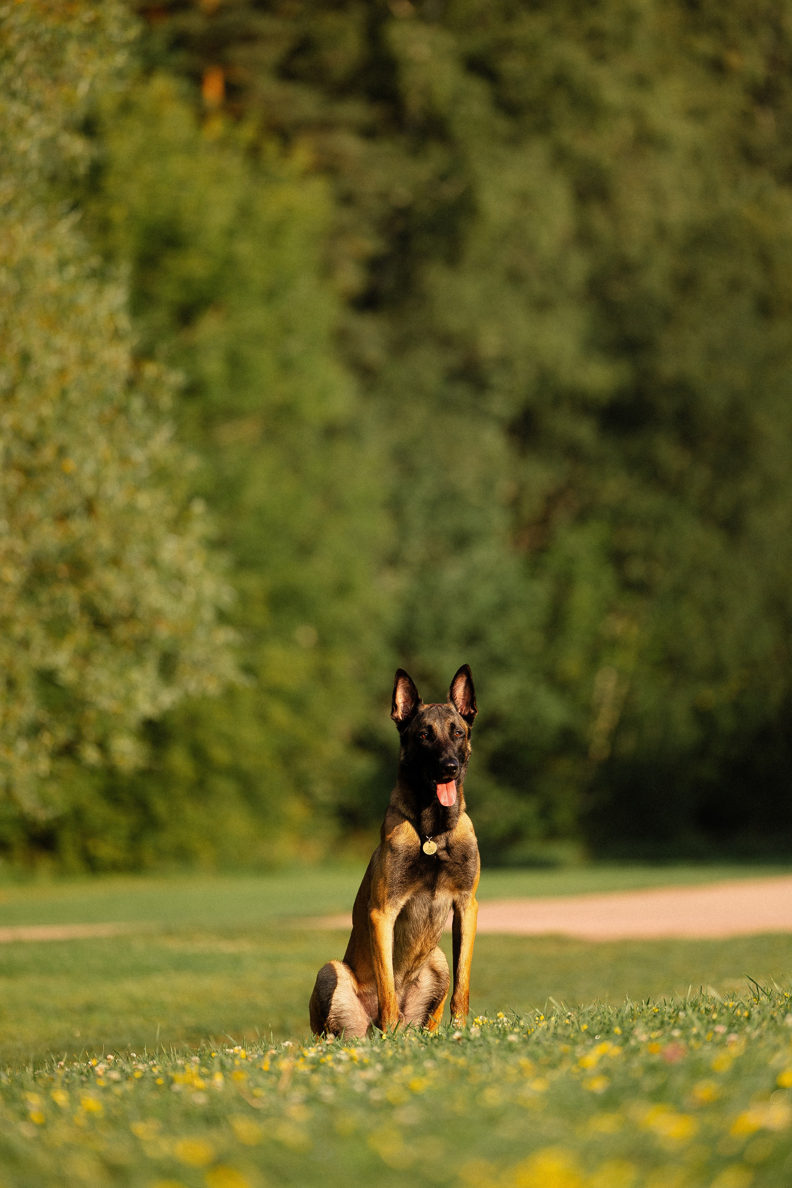 Галина и Кодекс. Фотограф и видеограф анималист Аганина Дарья