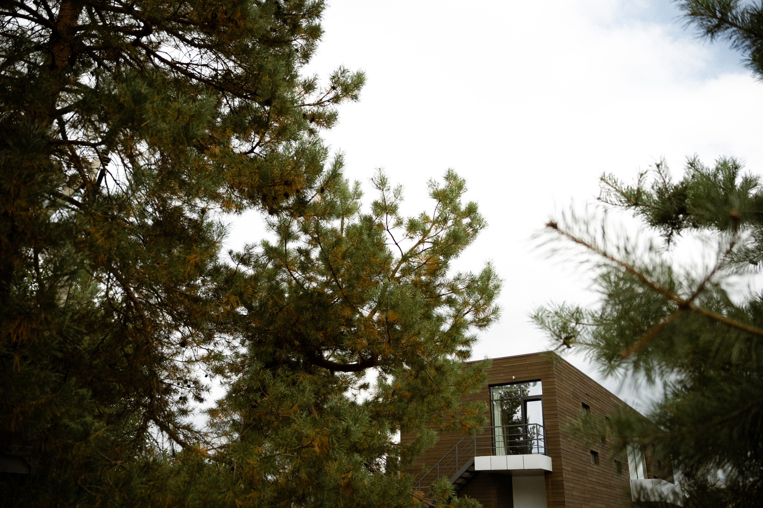 Любовь на высоте /Полный день (сокращено). Семейный и портретный фотограф в Саратове Сахарова Маша