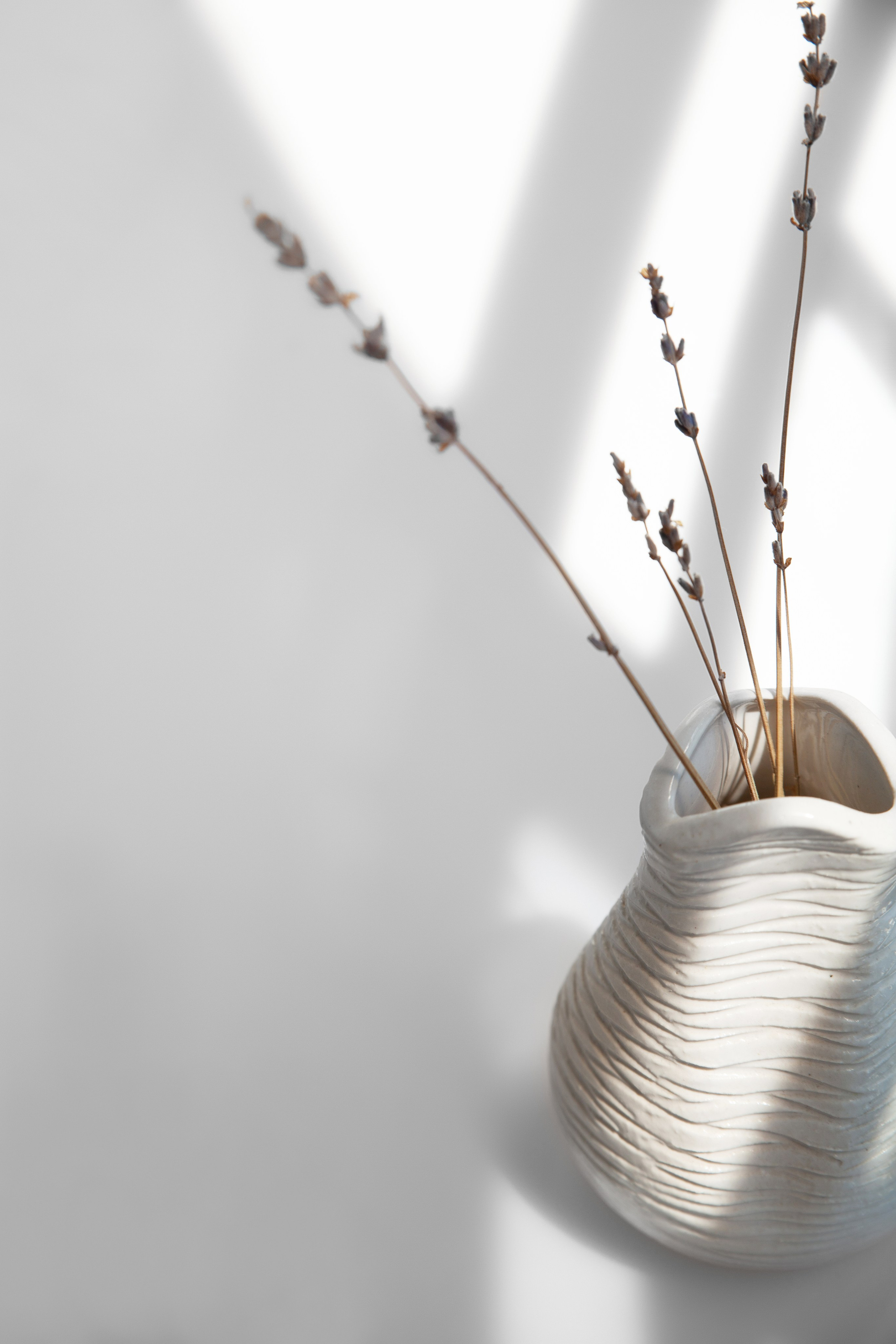 Фотокниги. Холсты. Печать