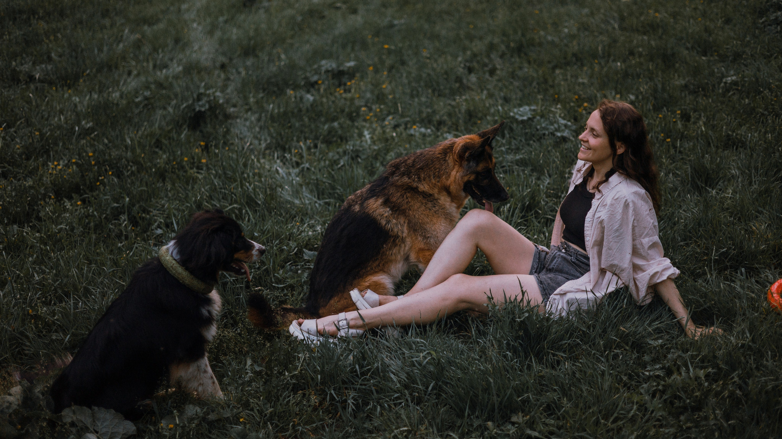 Настя, Шуня, Милка и Тигуан. Фотограф-анималист Богданова Полина