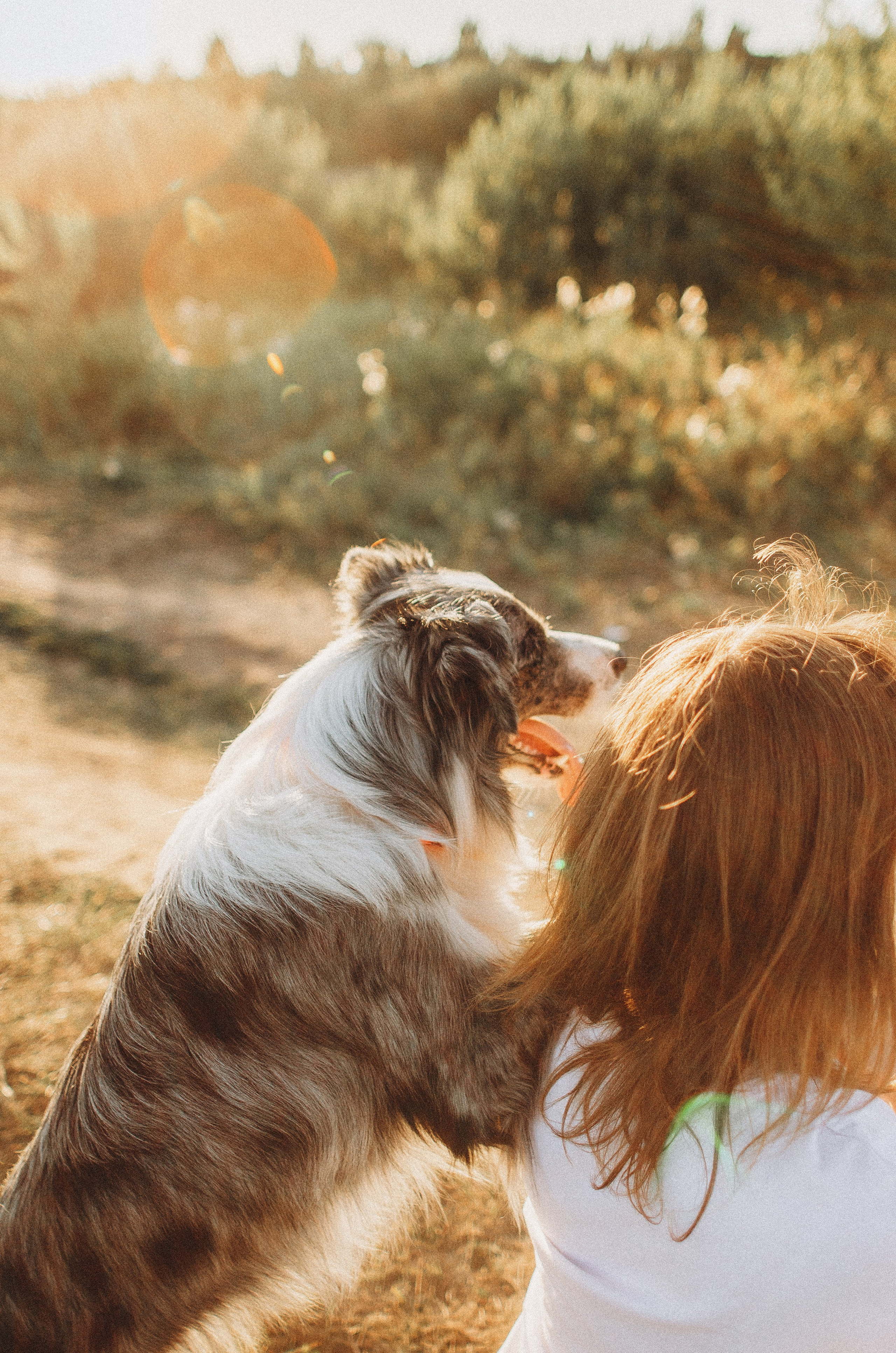 Таня и Бриллиант. Фотограф-анималист Богданова Полина