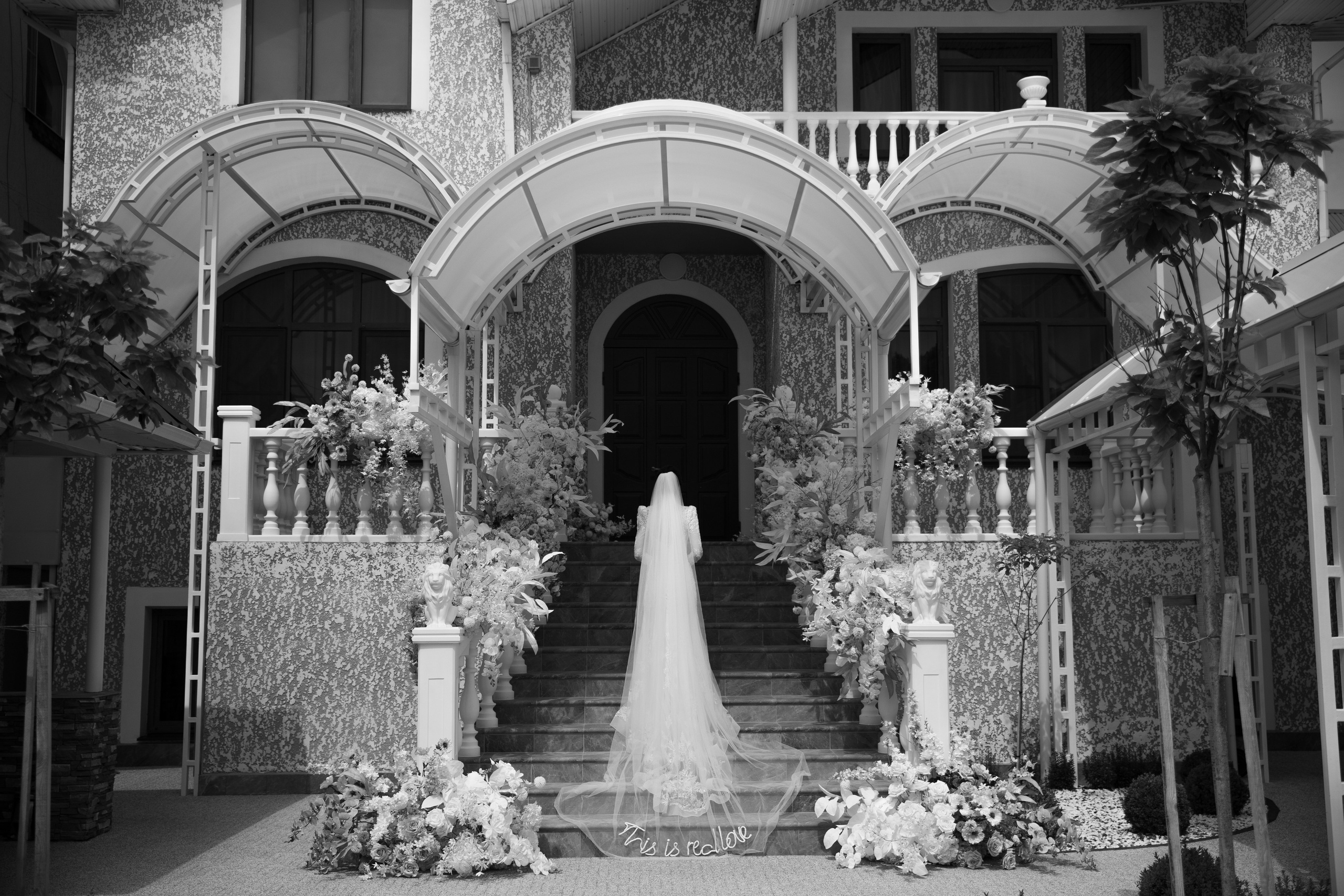 Георгий и Аделина. Свадебный и портретный фотограф в Ростове на Дону Андо Саргсян