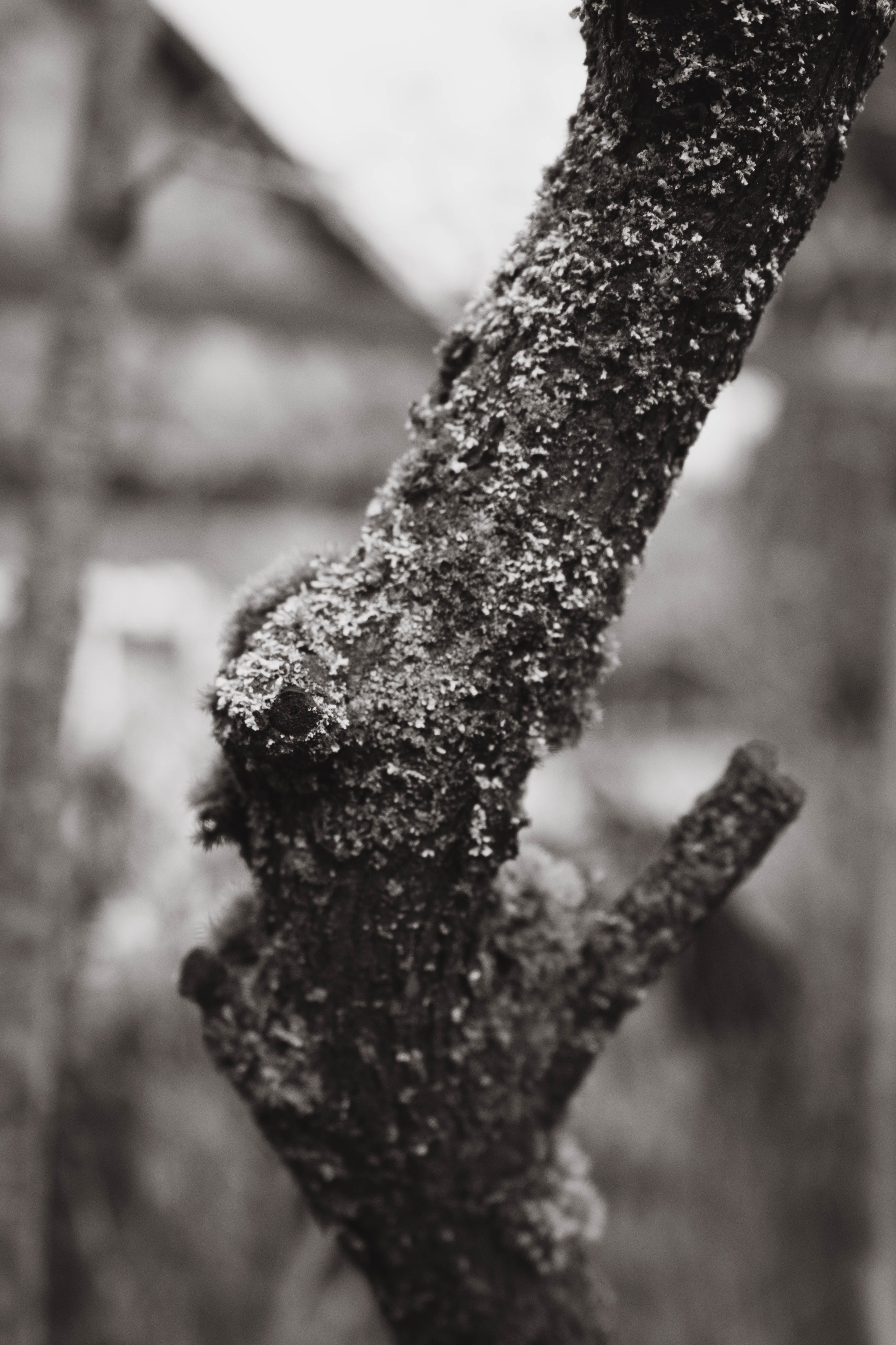 Съемка студии «Аж уютно». Фотограф Москва Валерия Веденина