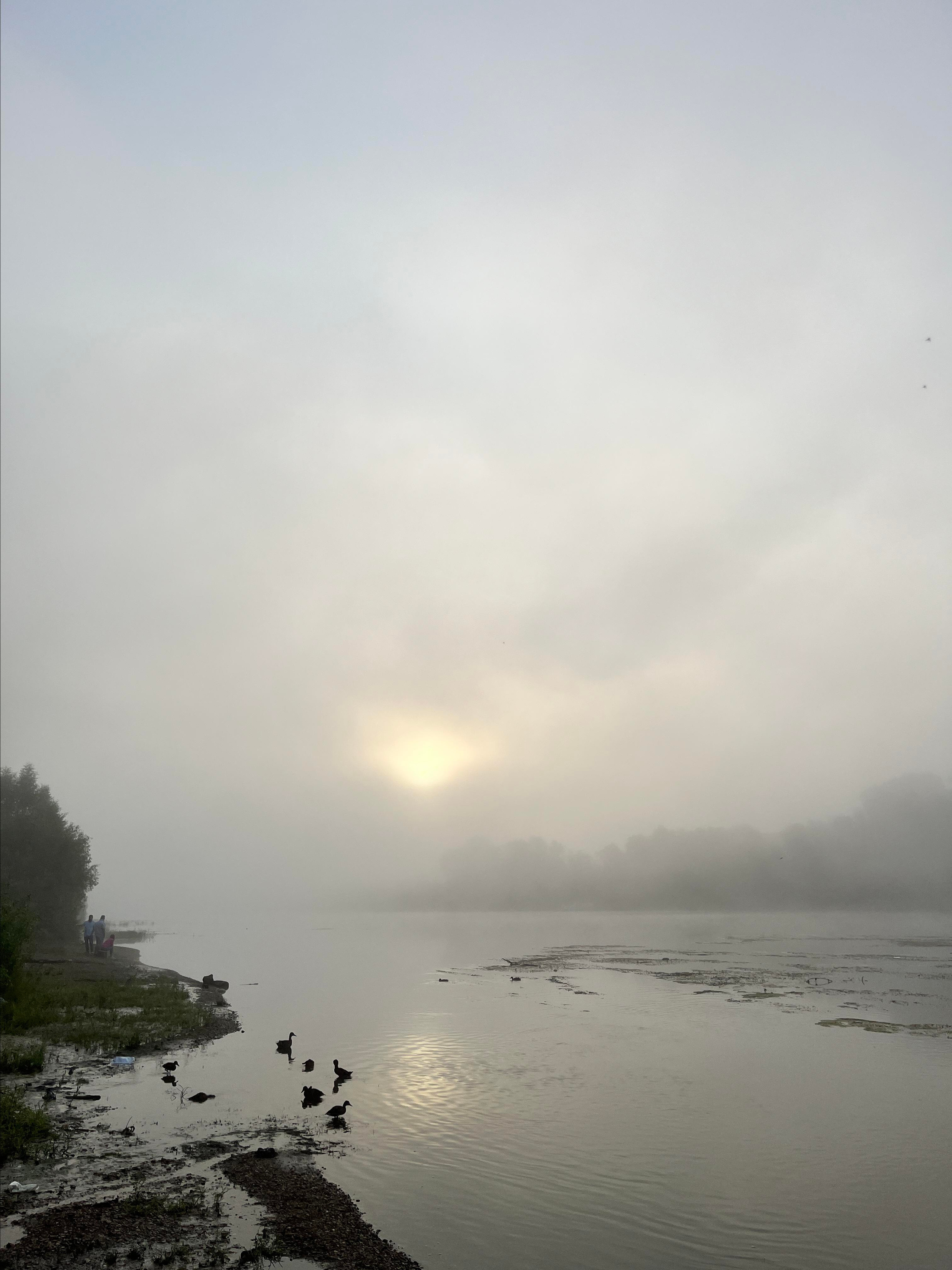 Фото с прогулок на сапбордах — Время Приключений