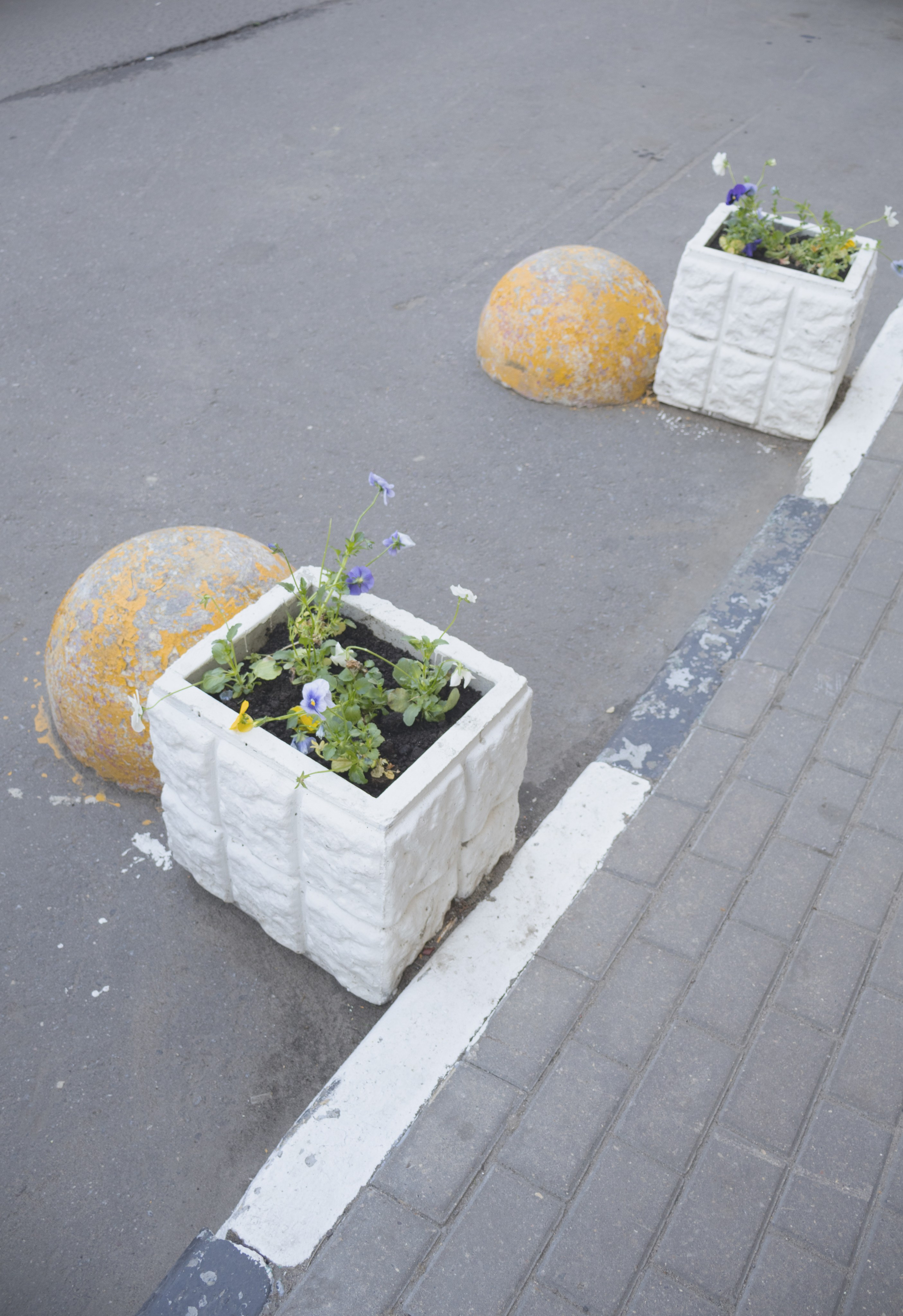 Urban extensions. Art direction & Design | Curiosa