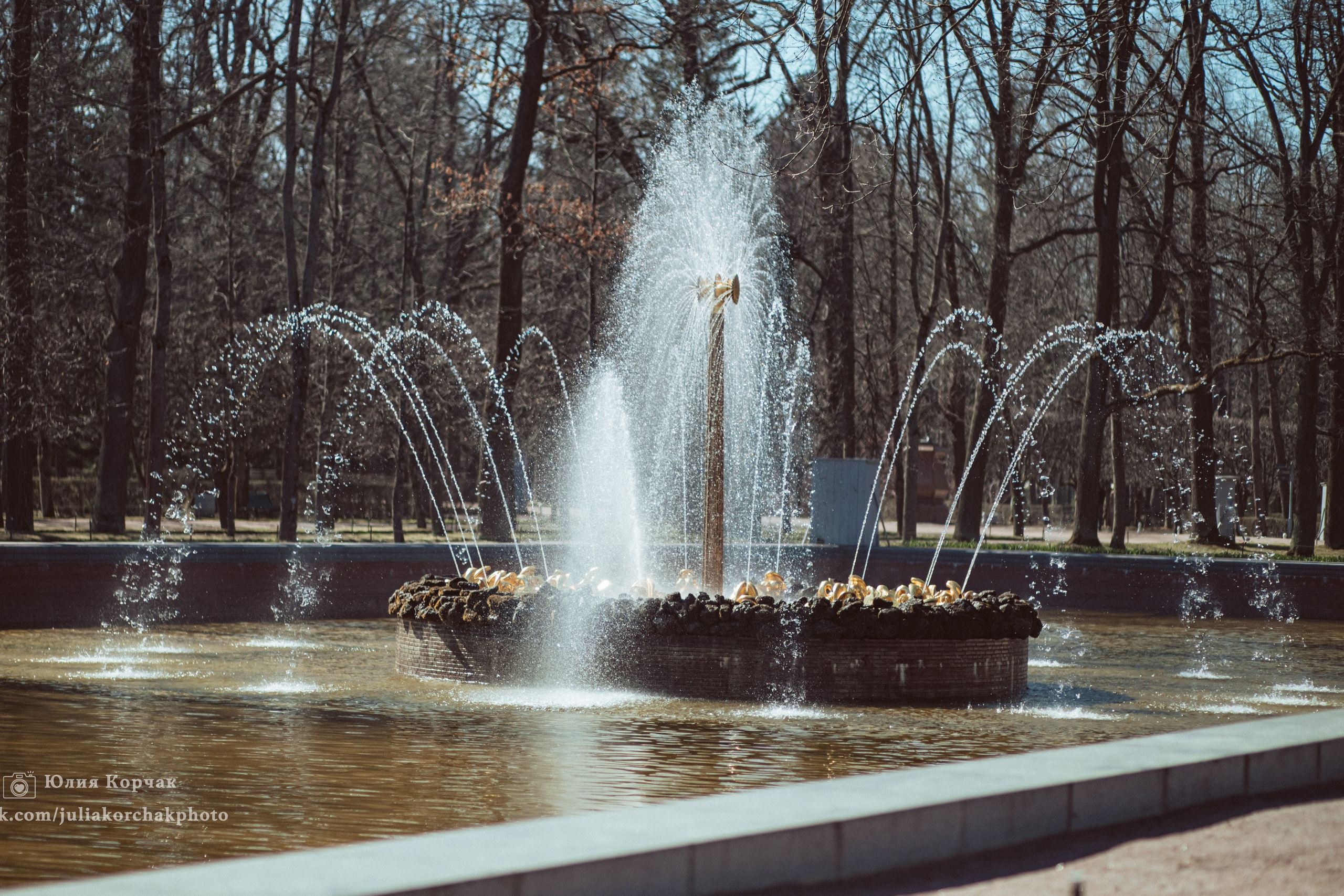 Петергоф нижний парк фото